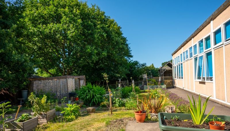 Our Gardening Area 