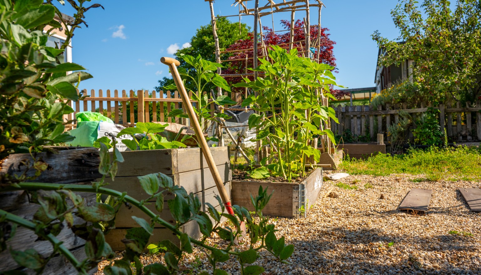 Our Outdoor Learning 