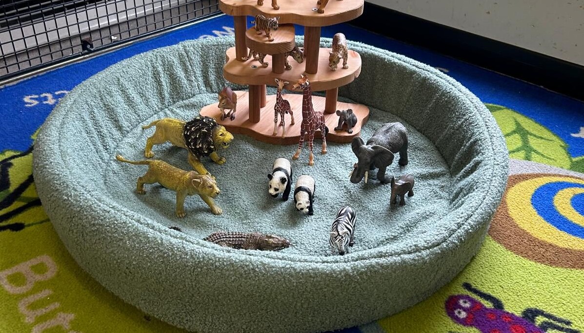Our Nursery 