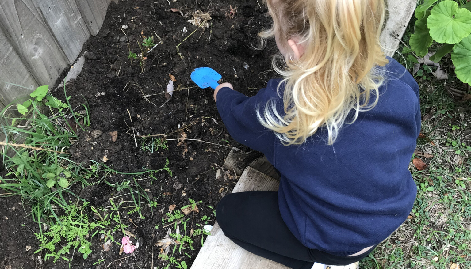 Our Nursery 