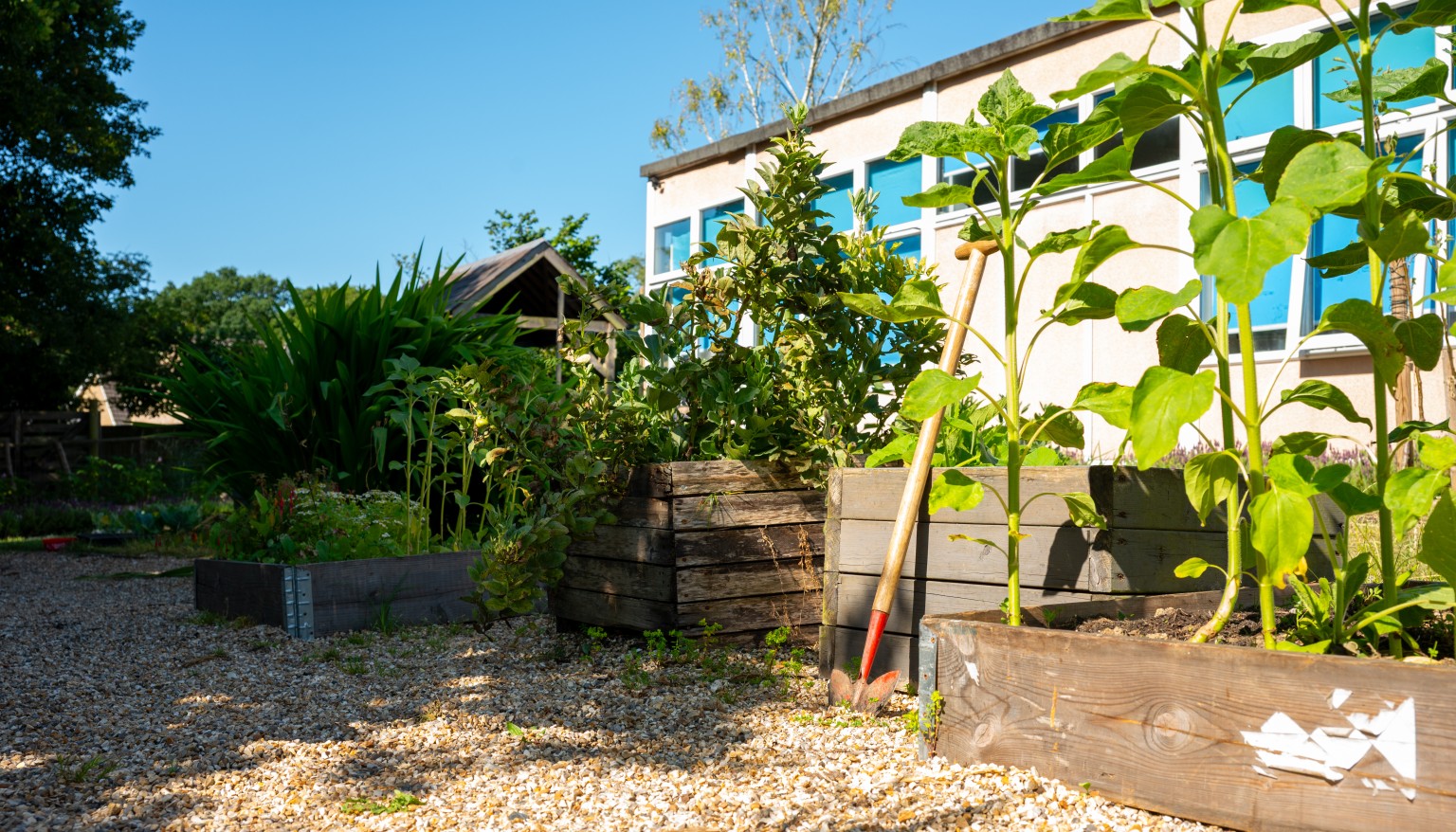 Our Outdoor Learning 