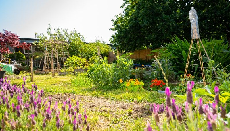 Our Gardening Area 