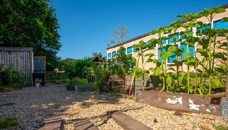 Our Gardening Area 