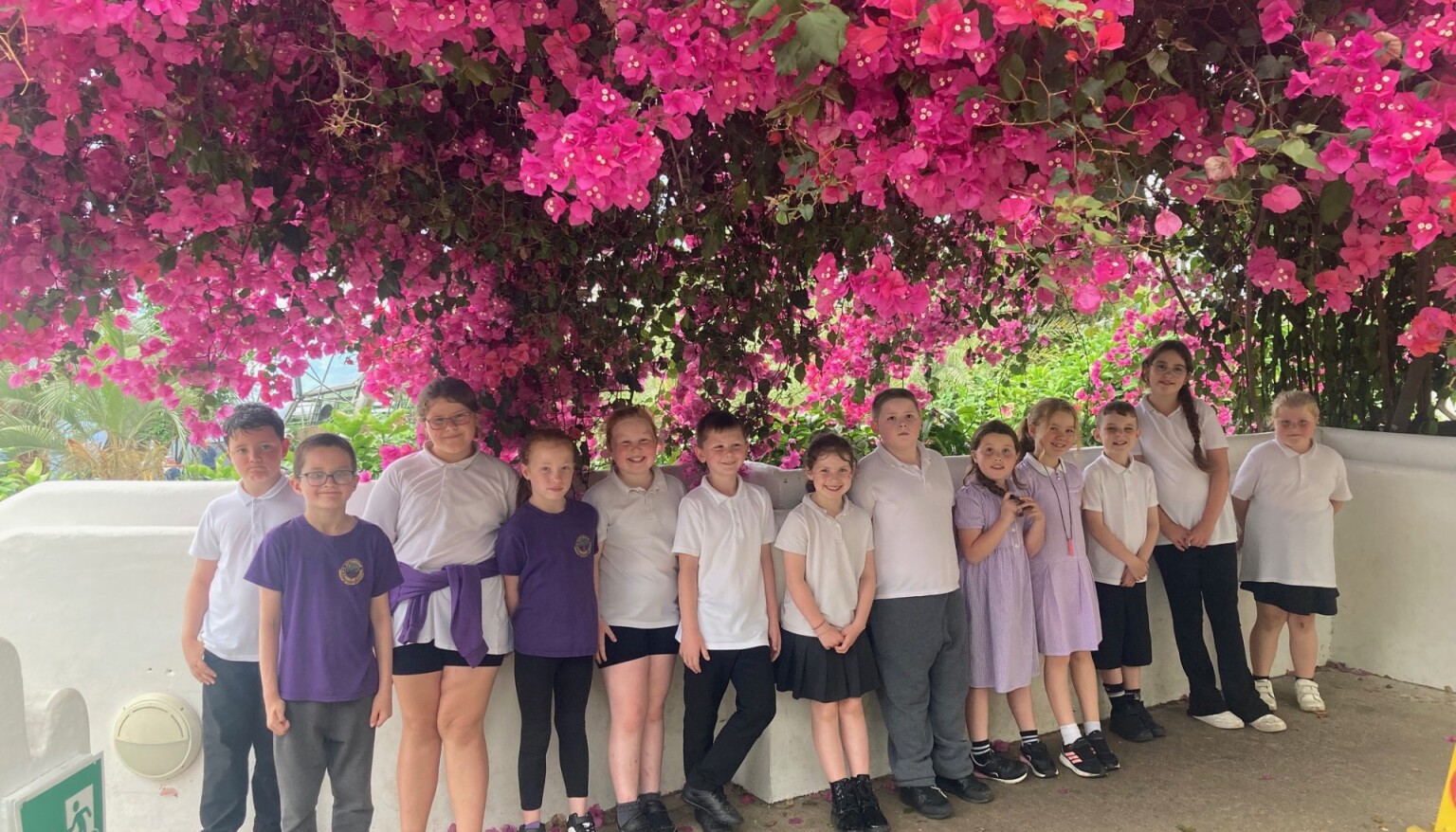 Our KS2 children enjoying the Eden Project. 