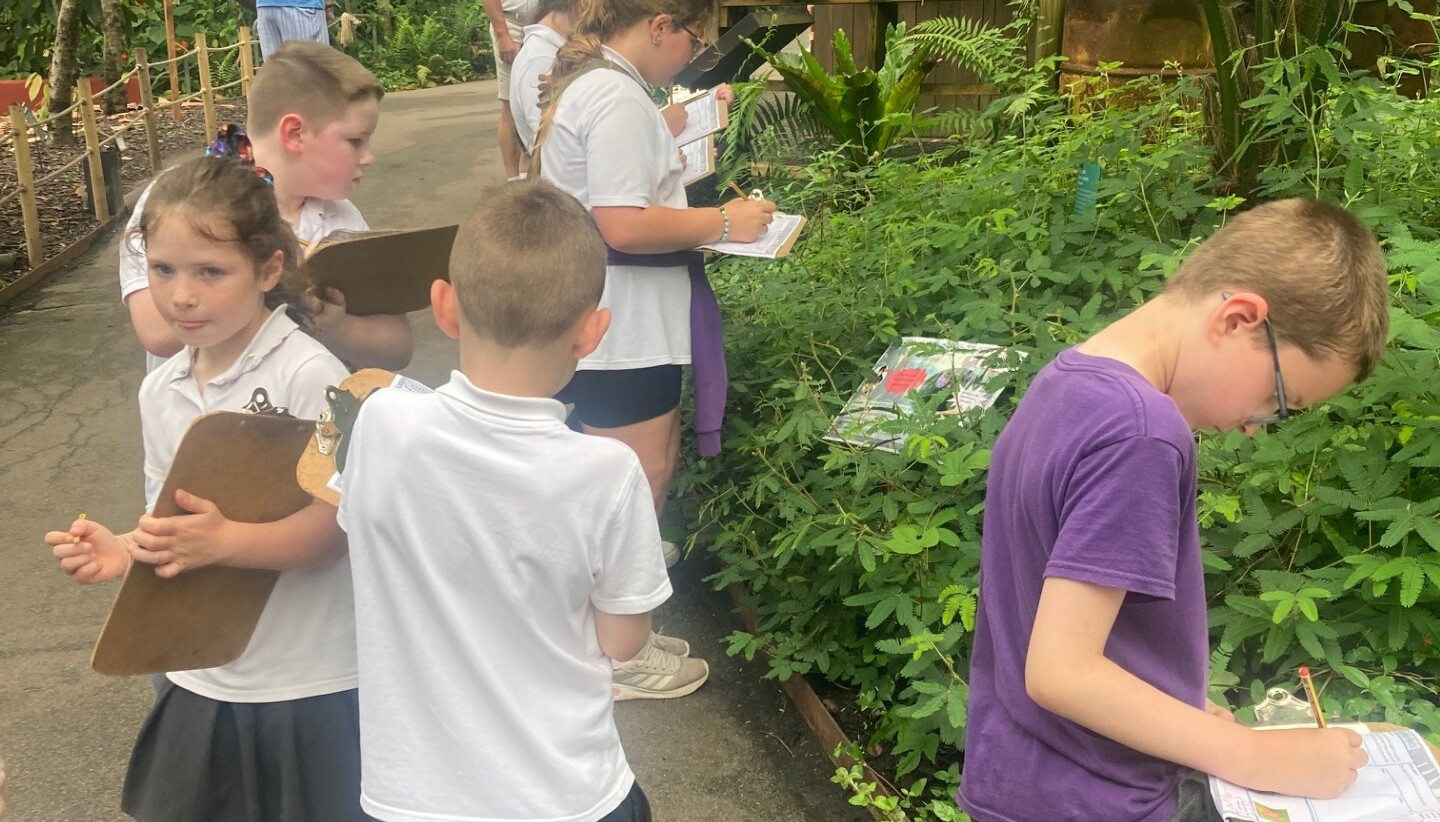 Our KS2 children enjoying the Eden Project. 