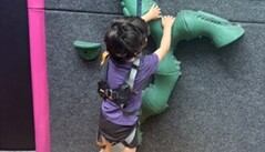 Clip n Climb