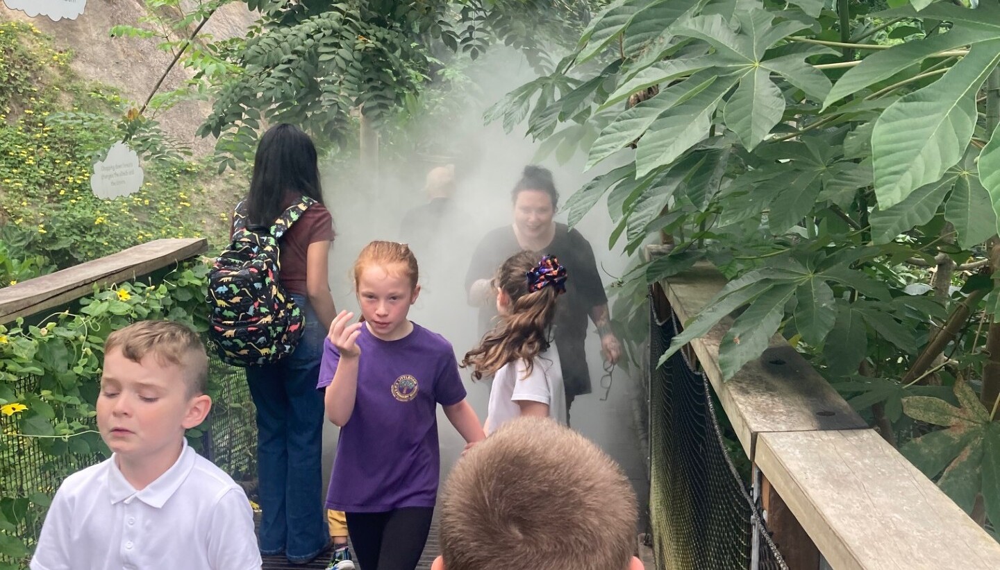 Our KS2 children enjoying the Eden Project. 