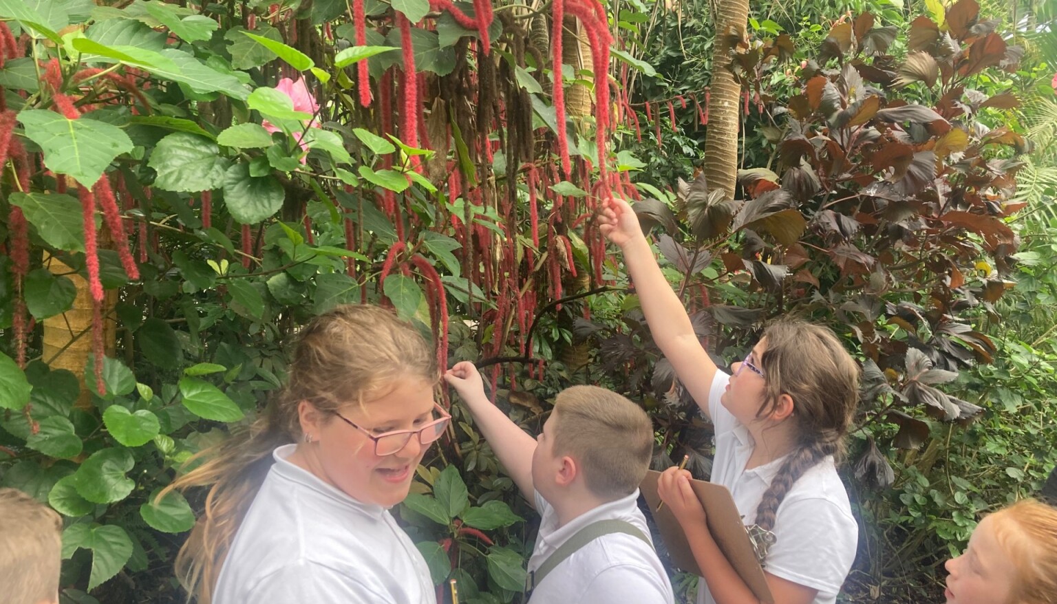 Our KS2 children enjoying the Eden Project. 