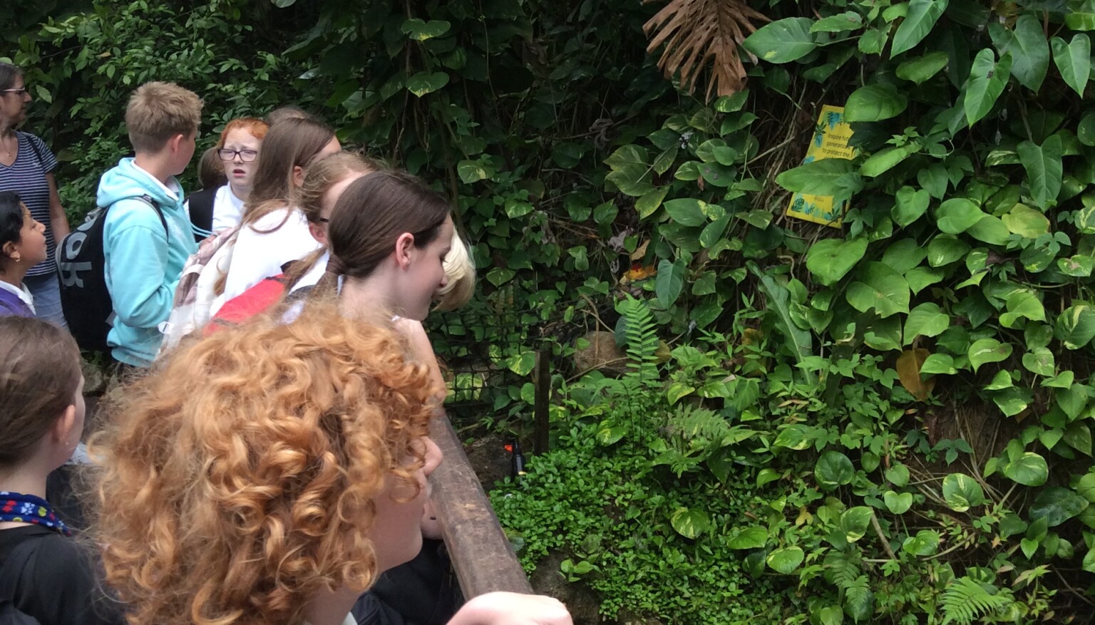 Our KS2 children enjoying the Eden Project. 