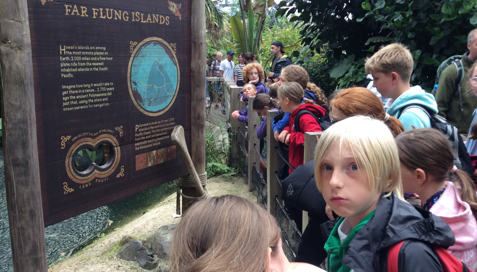 Our KS2 children enjoying the Eden Project. 