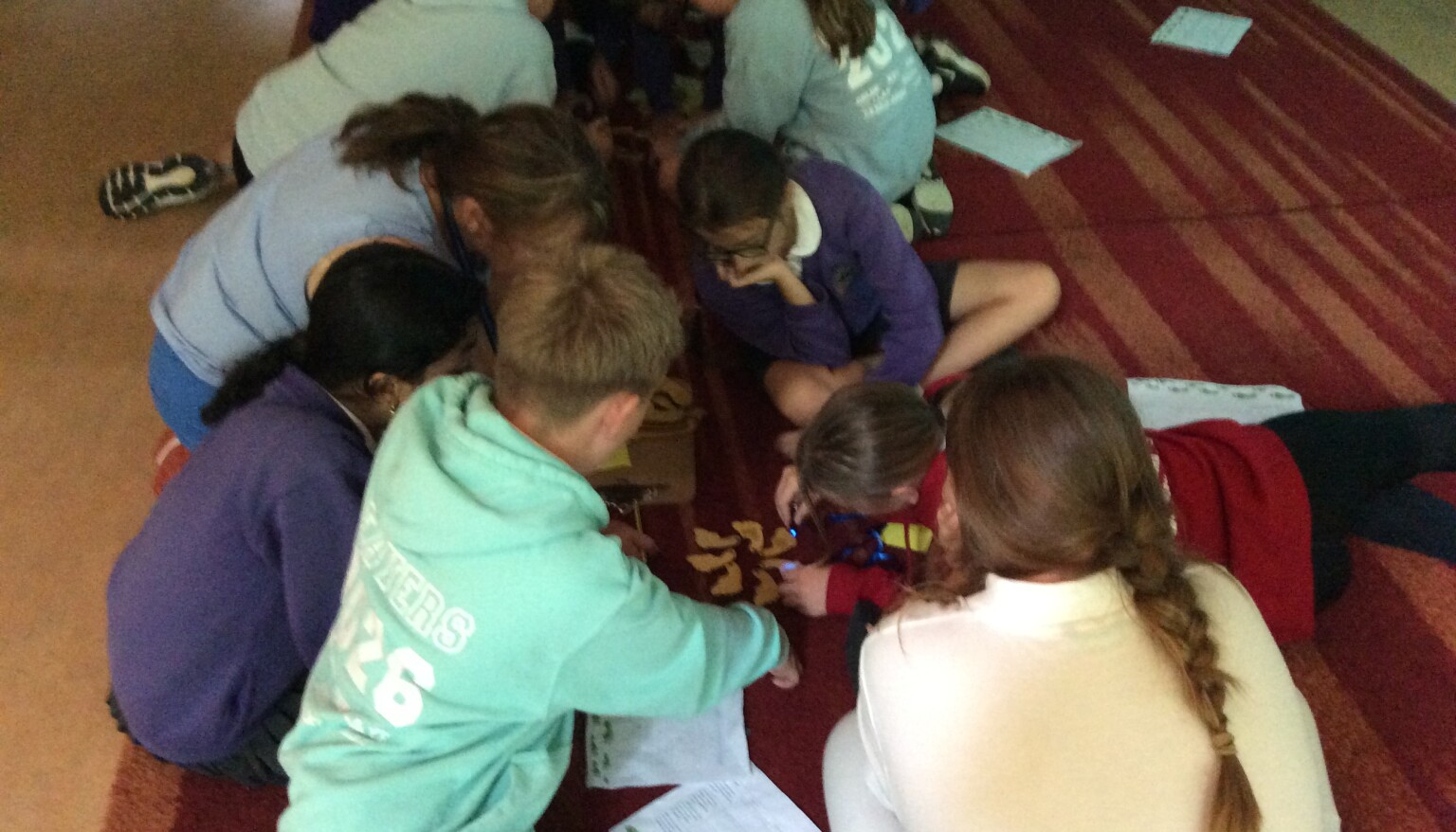 Our KS2 children enjoying the Eden Project. 