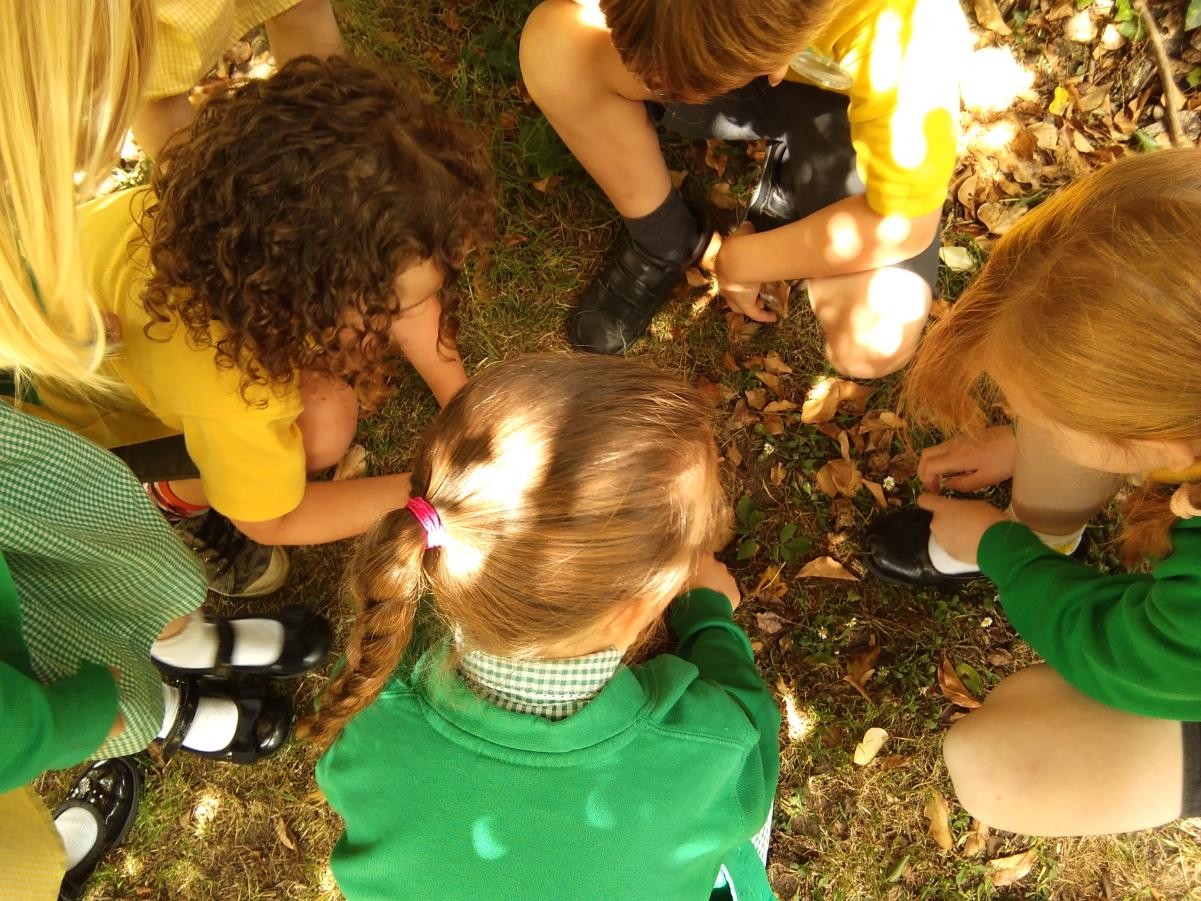 Forest School encourages children to instigate, test and maintain curiosity in the world around them.