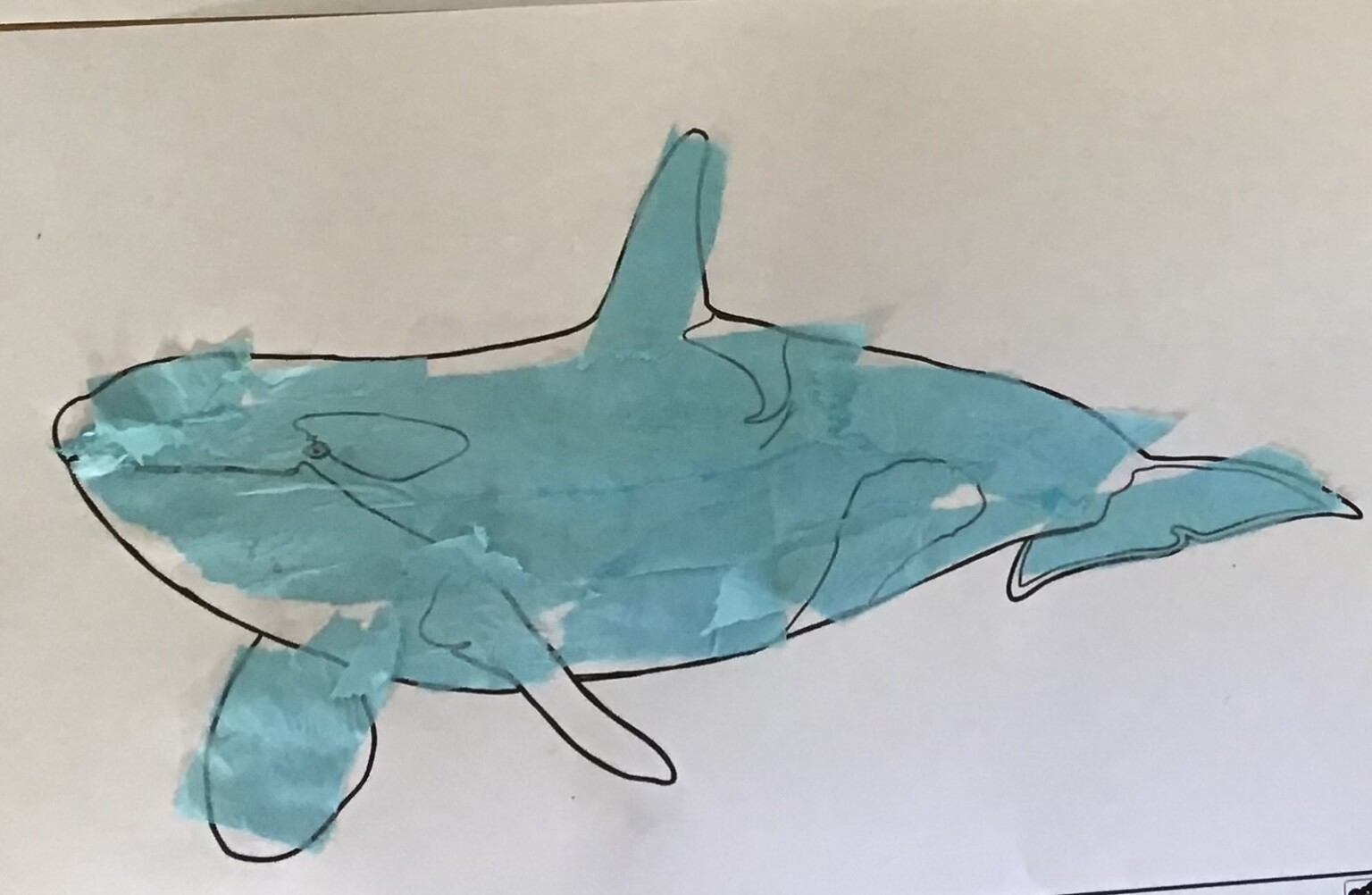 Wild and Wonderful Topic - Snail and the Whale Theme