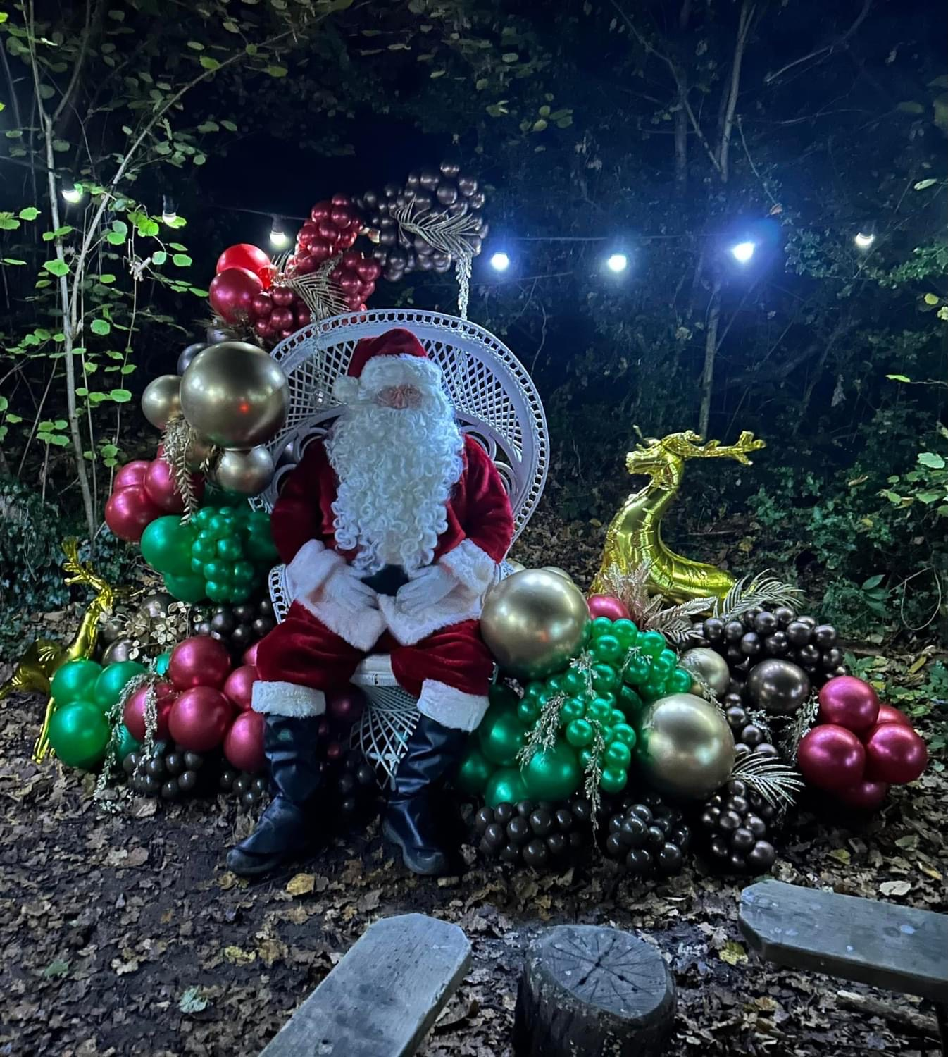 A special visitor at Christmas