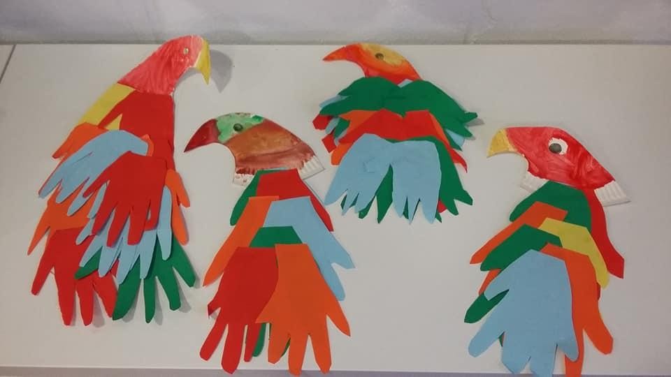 Rainforest Topic