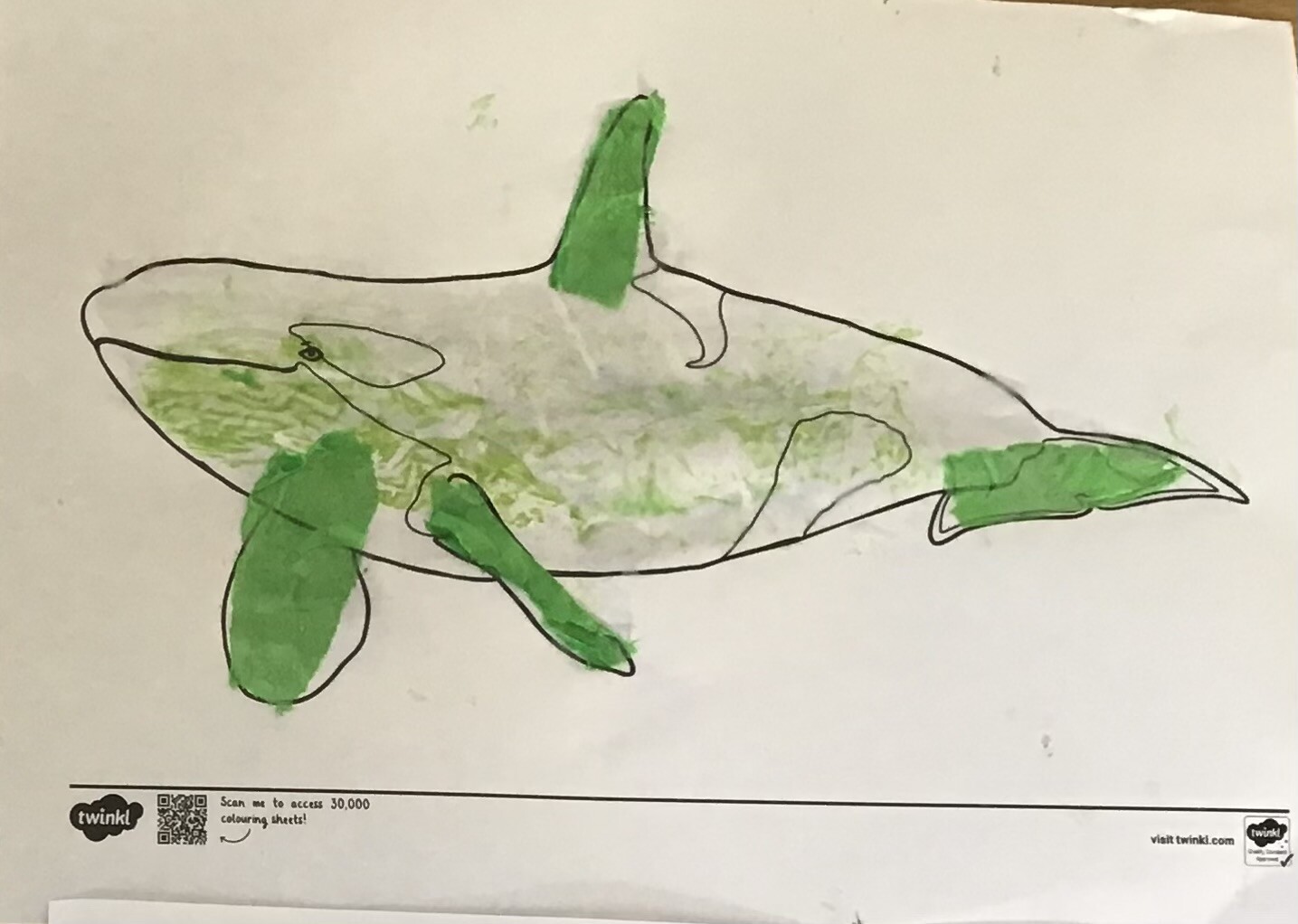Wild and Wonderful Topic - Snail and the Whale Theme