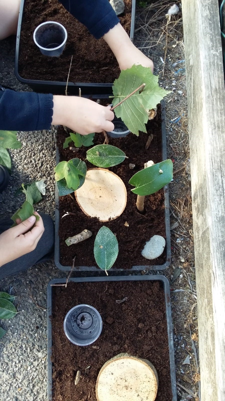 Creating small garden designs