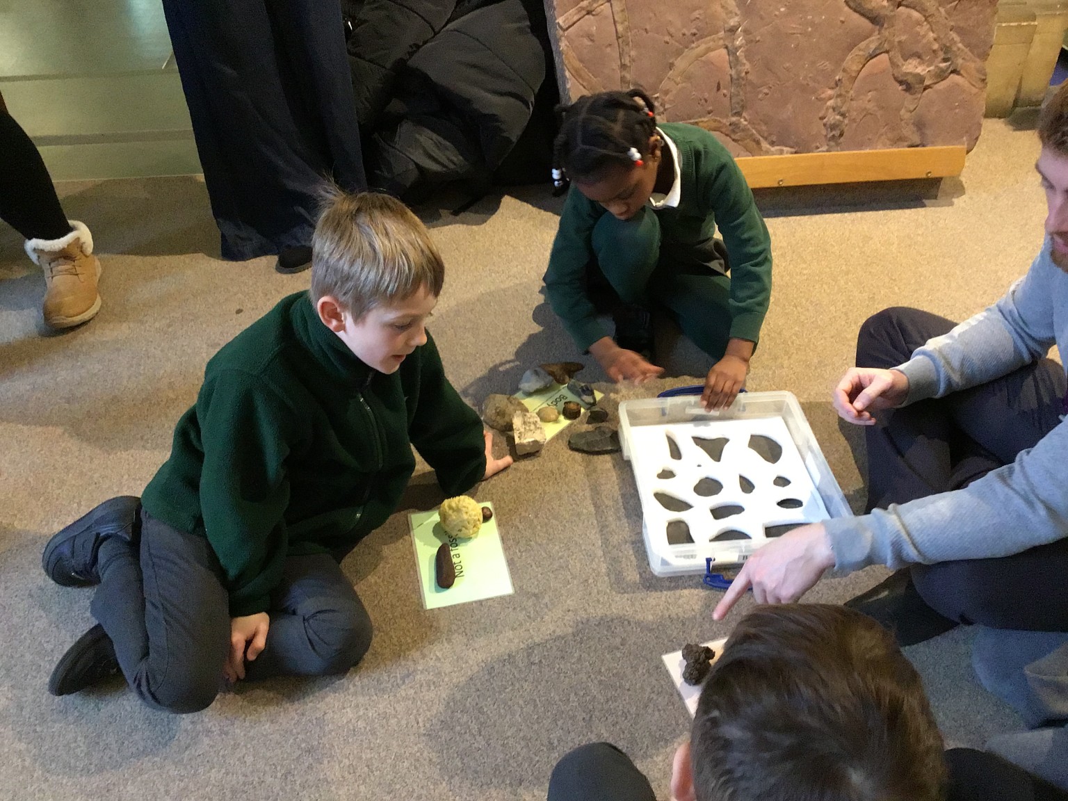 Sedgwick Museum Trip