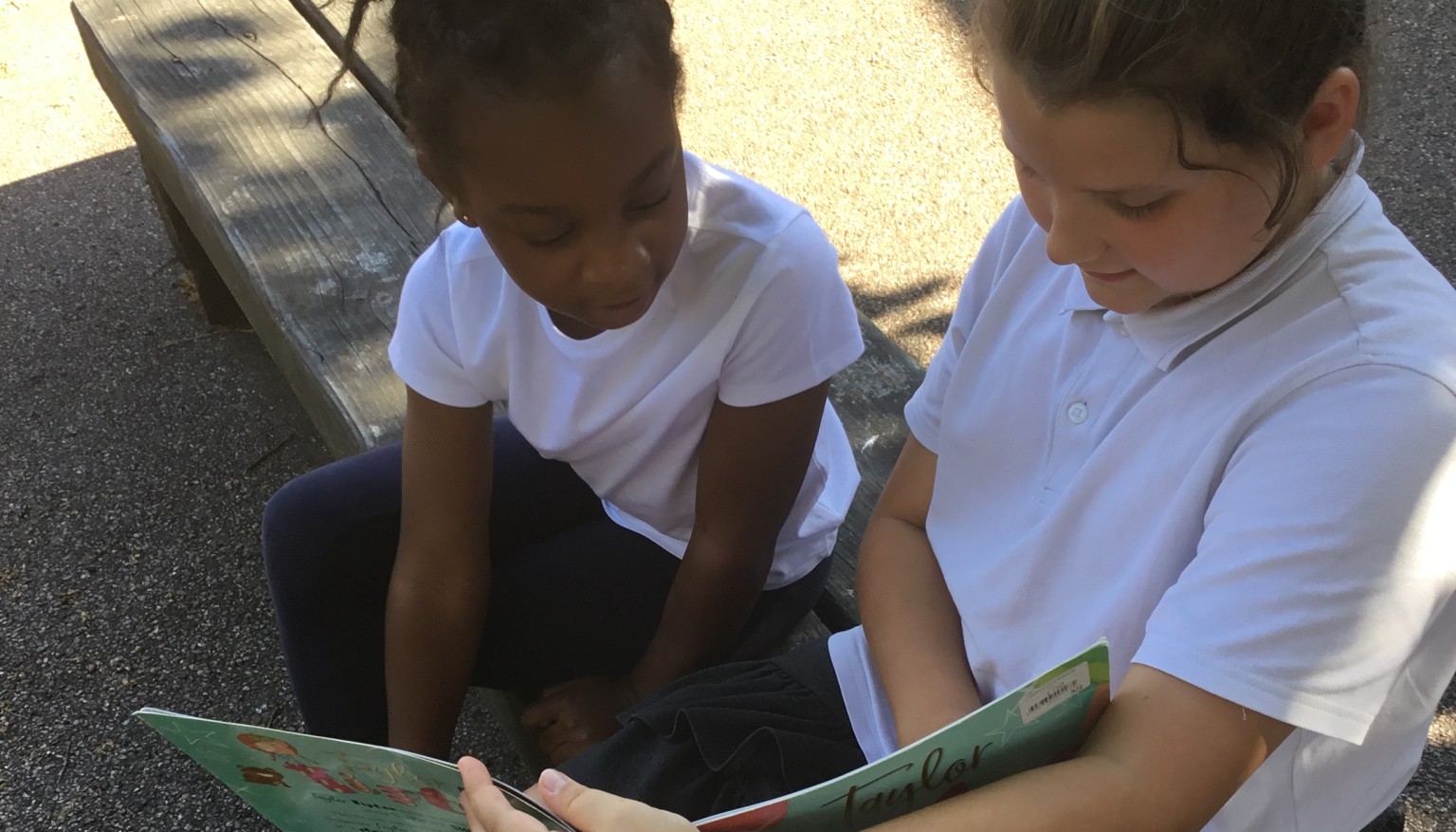  Buddy reading