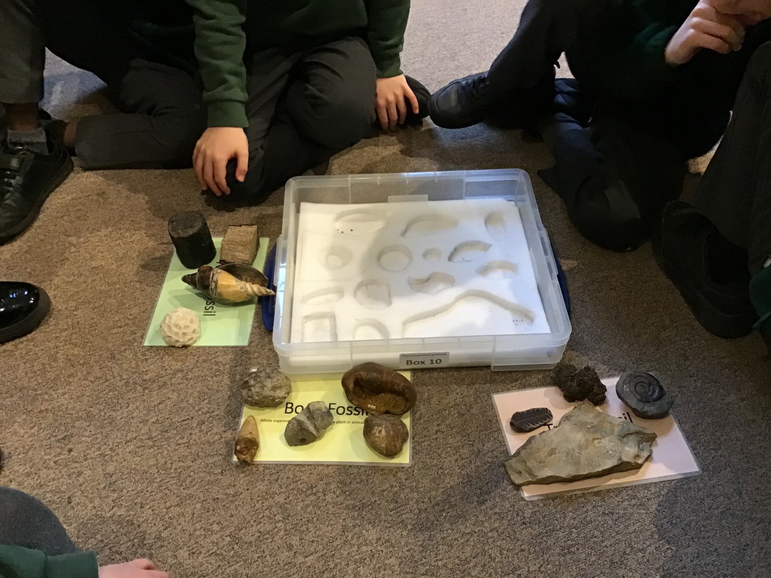 Sedgwick Museum Trip