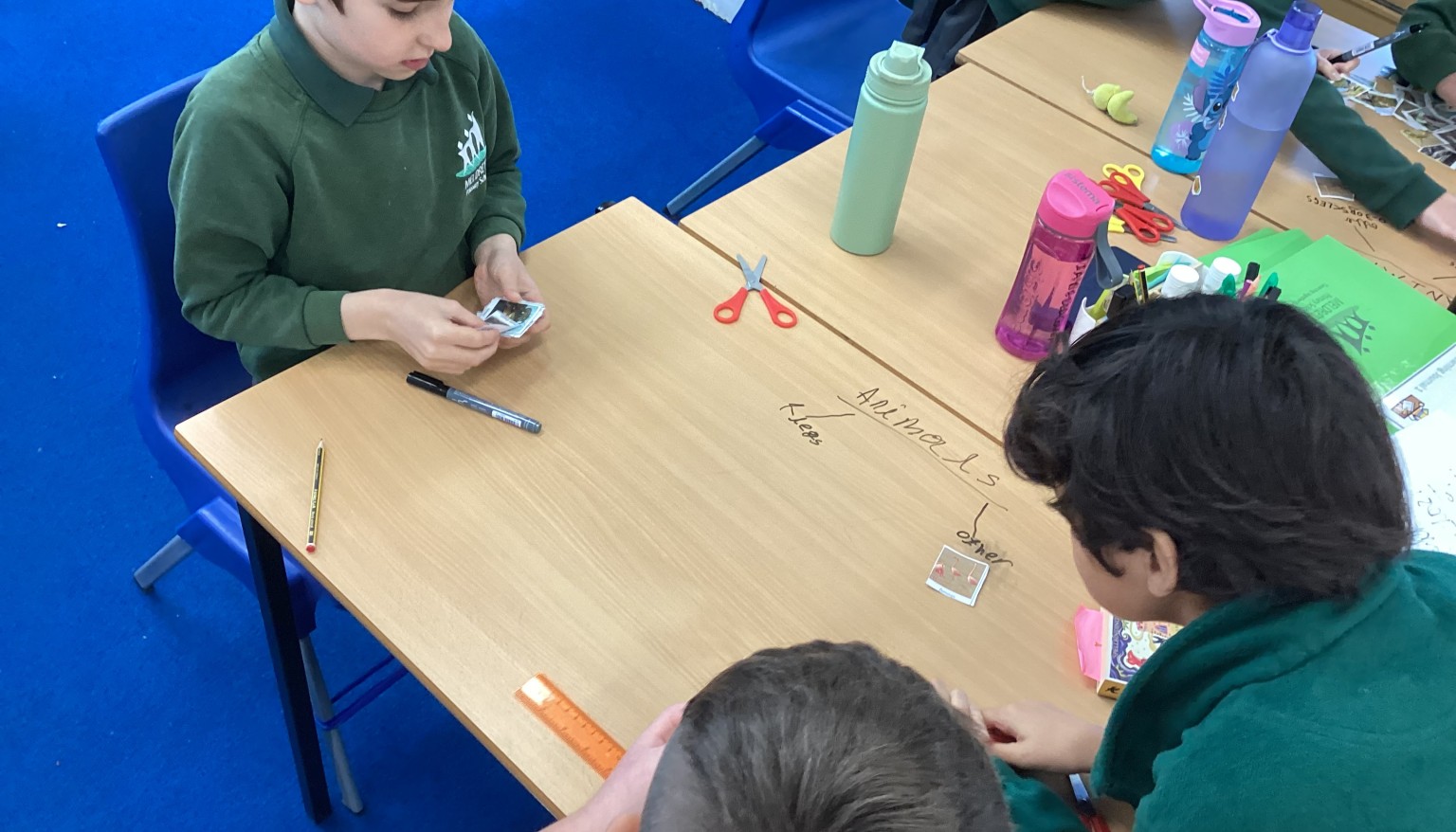 Living Things Unit - Classifying Animals