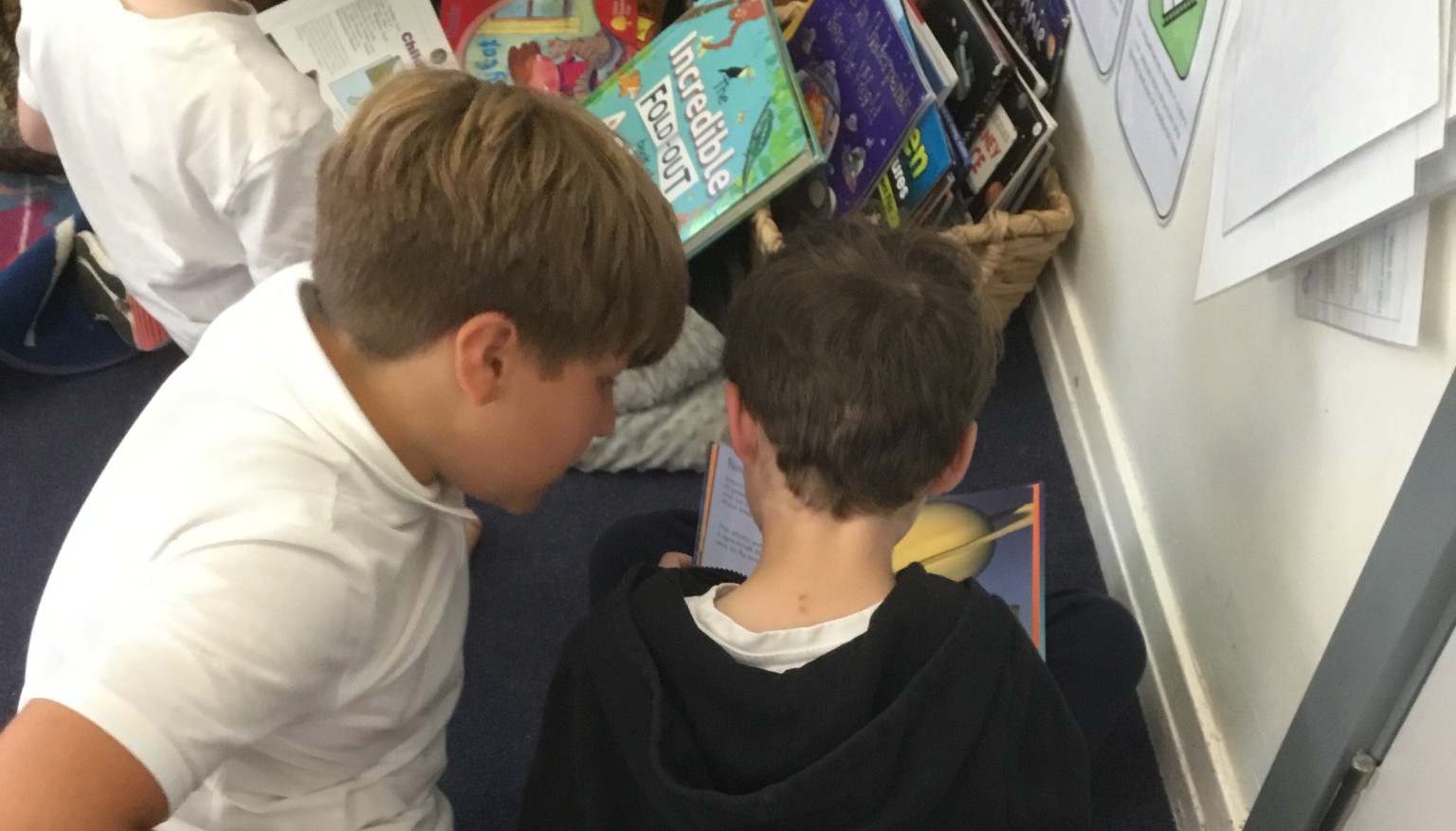 Buddy reading