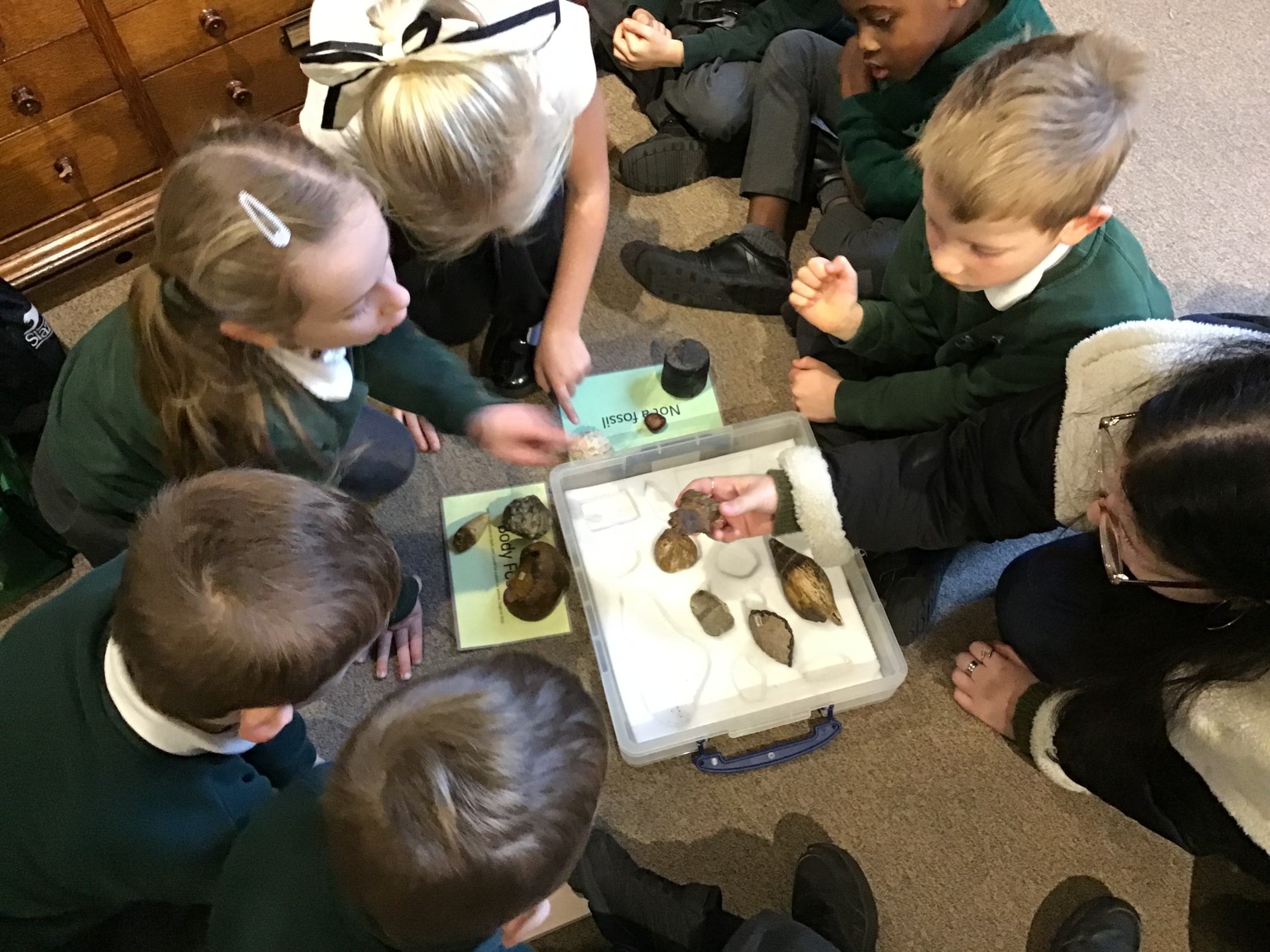 Sedgwick Museum Trip