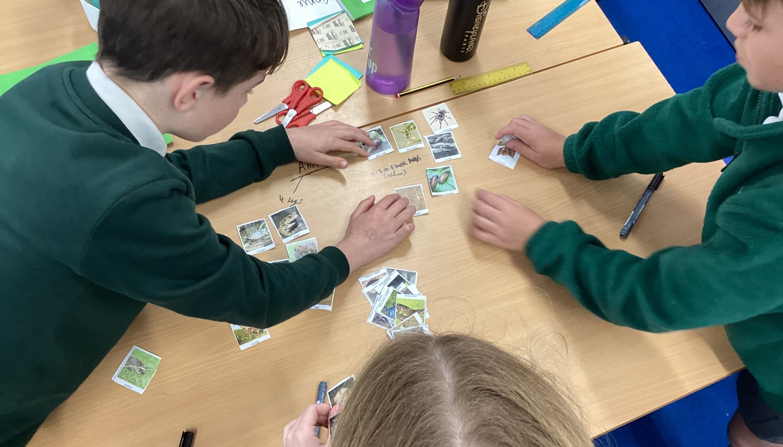 Living Things Unit - Classifying Animals