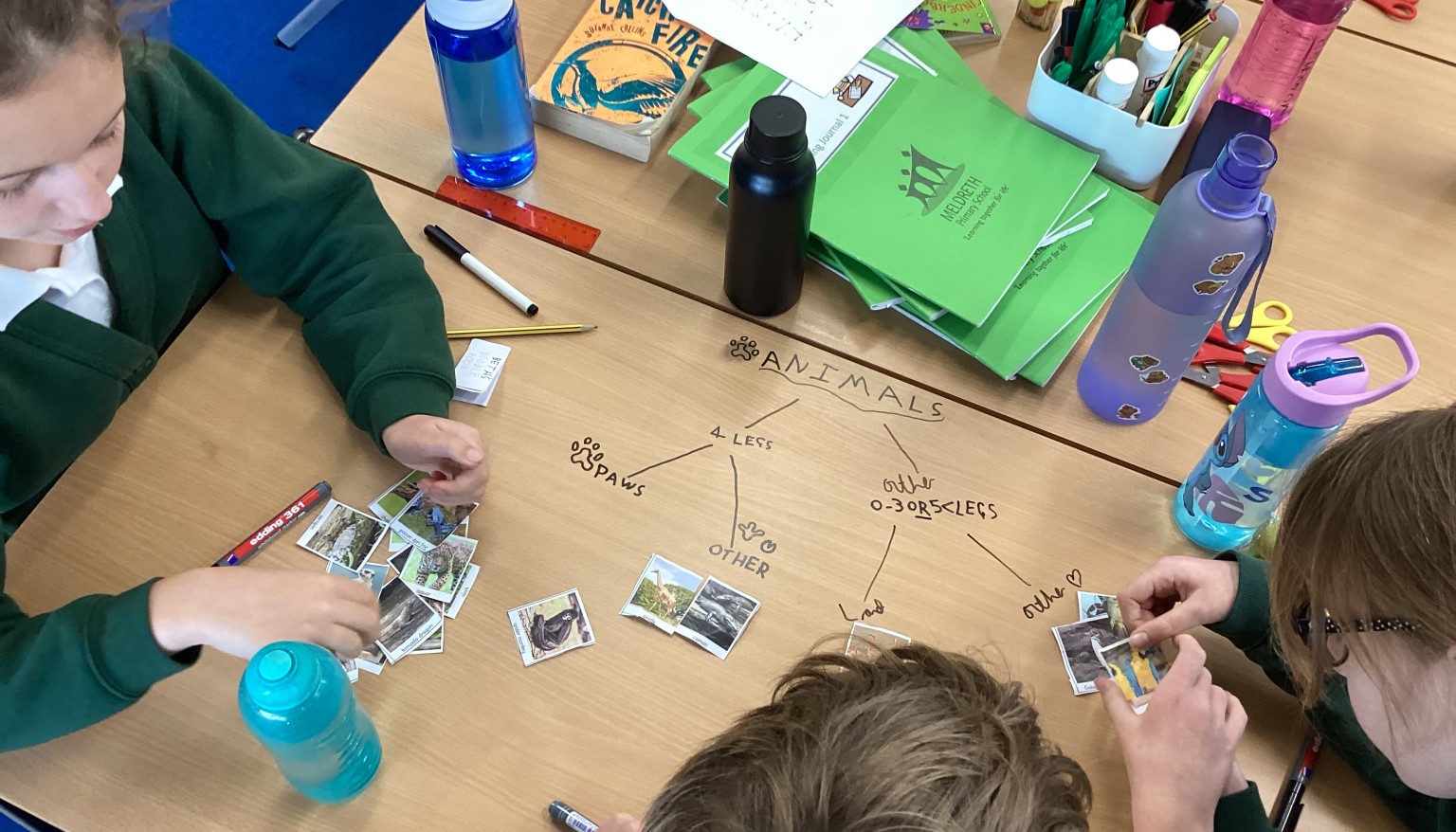 Living Things Unit - Classifying Animals