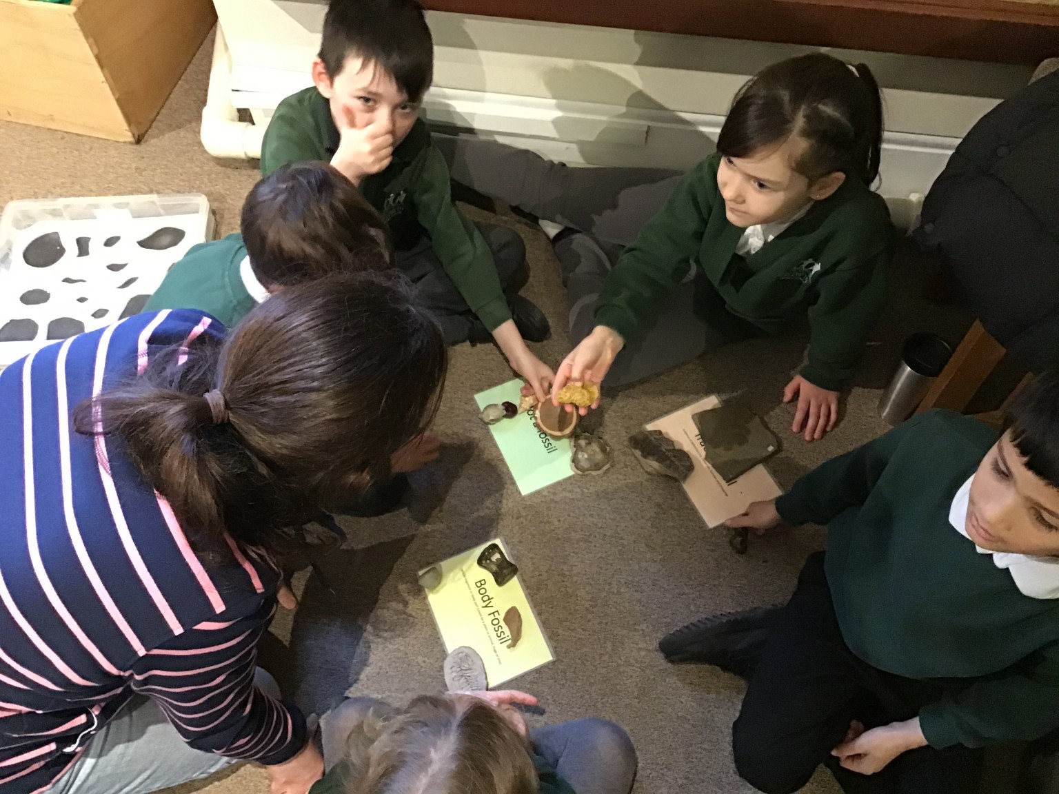 Sedgwick Museum Trip