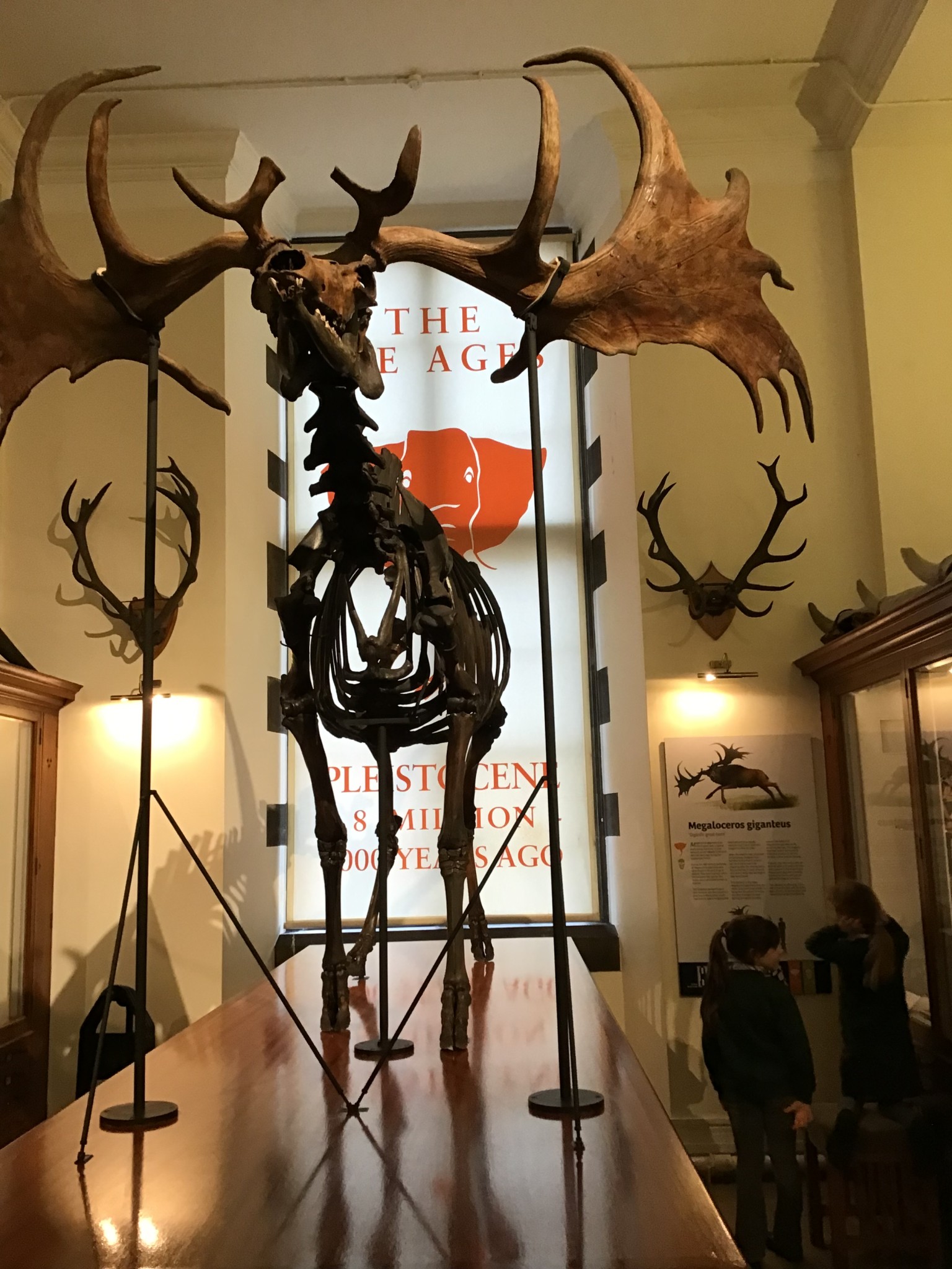 Sedgwick Museum Trip