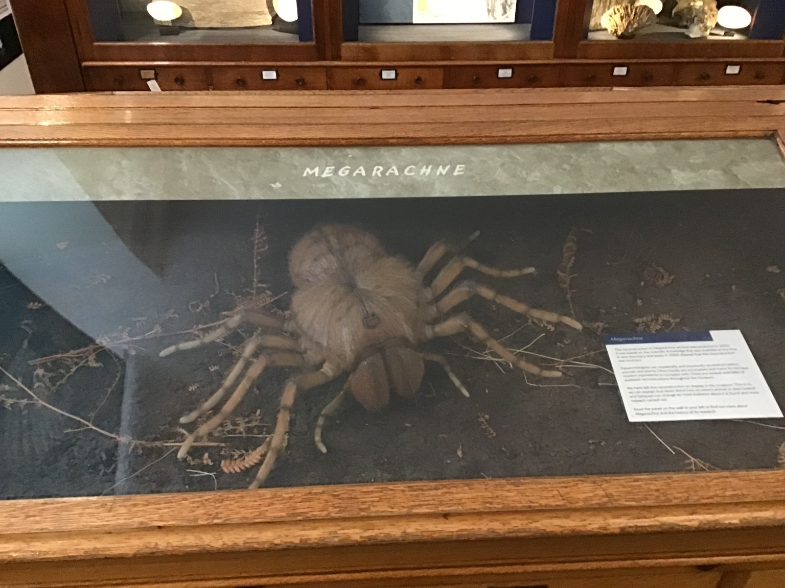 Sedgwick Museum Trip