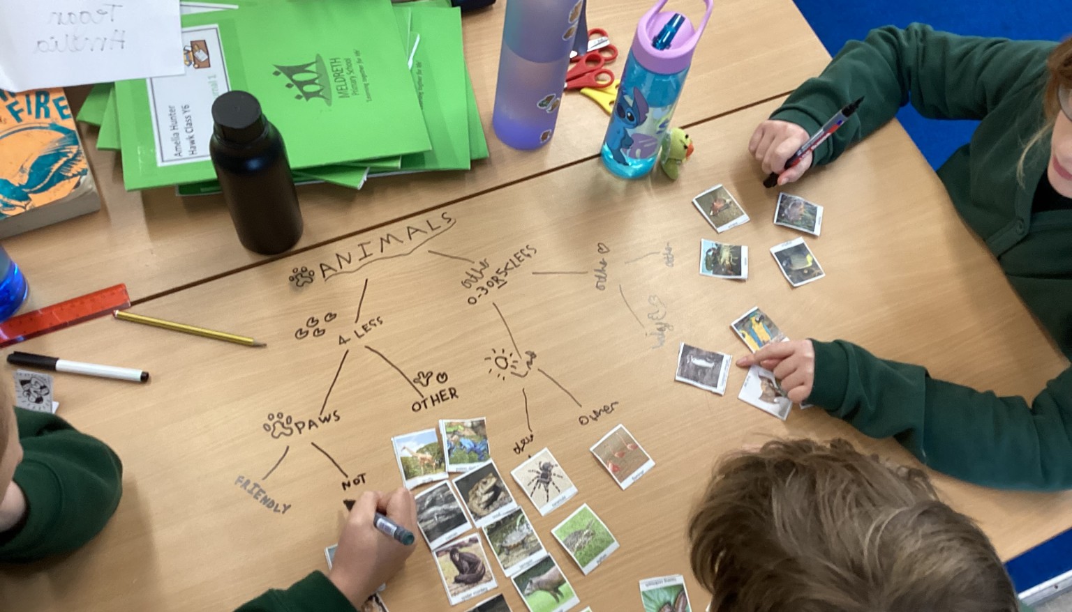 Living Things Unit - Classifying Animals