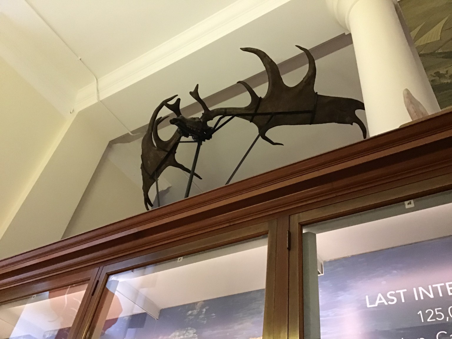 Sedgwick Museum Trip