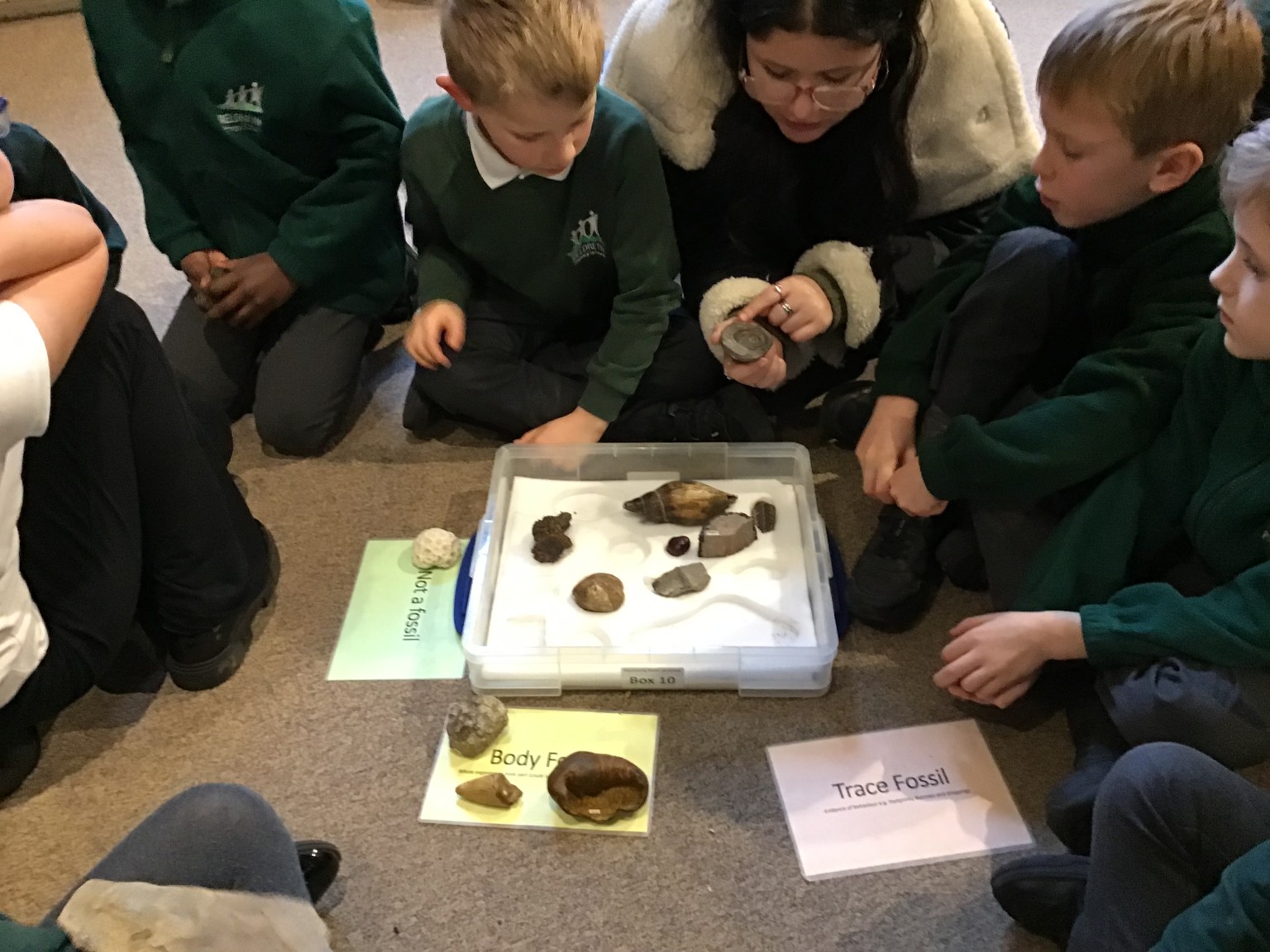 Sedgwick Museum Trip