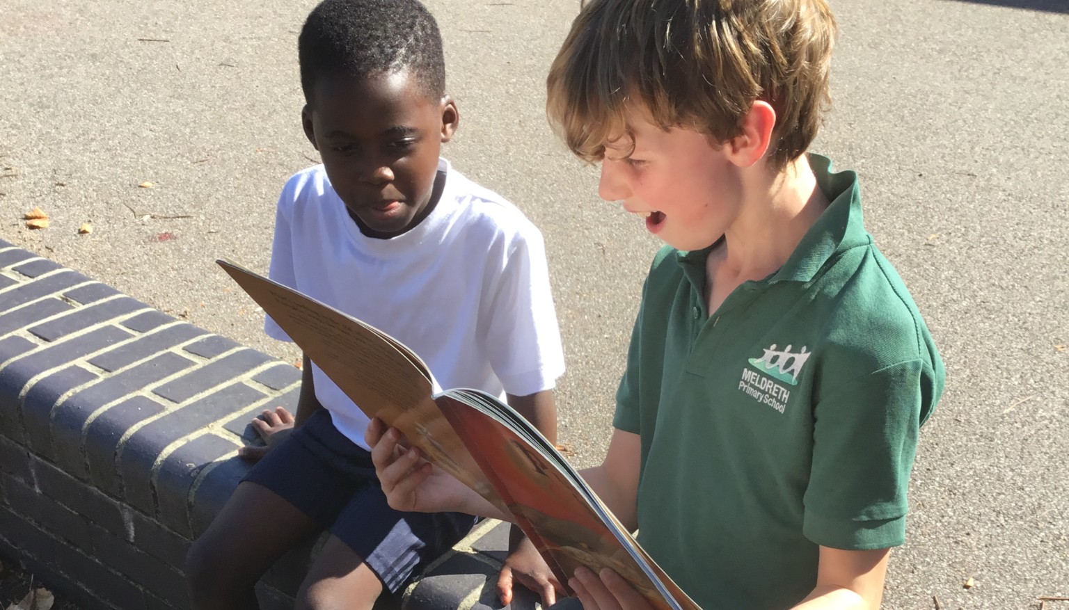 Buddy reading