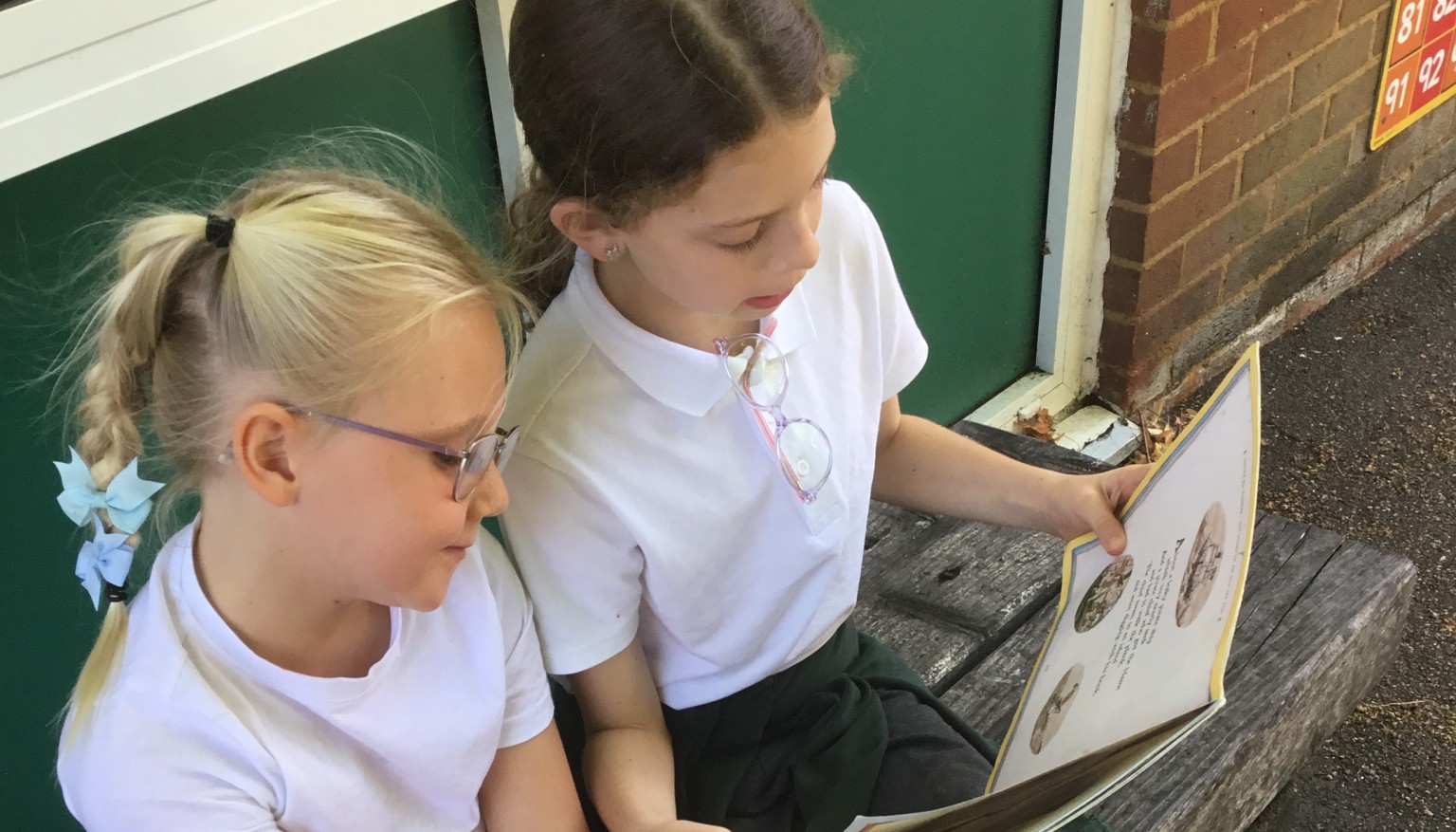 Buddy reading
