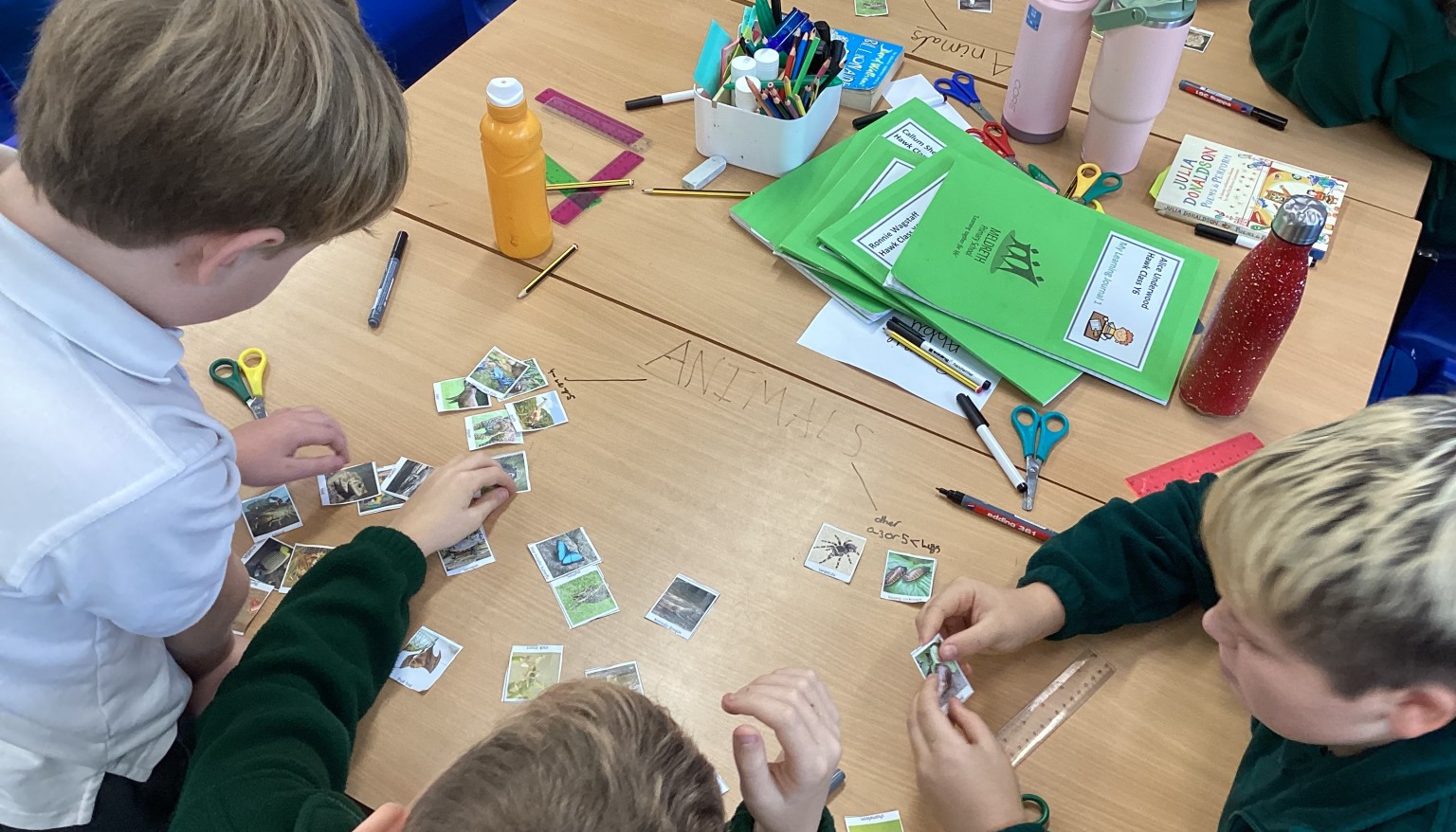 Living Things Unit - Classifying Animals