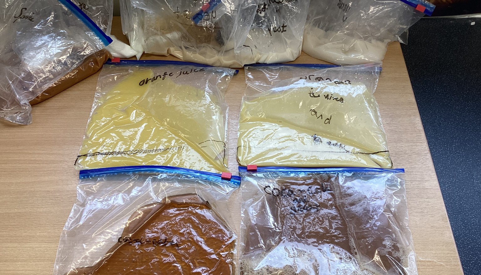 Living Things Unit - Yeast Experiment