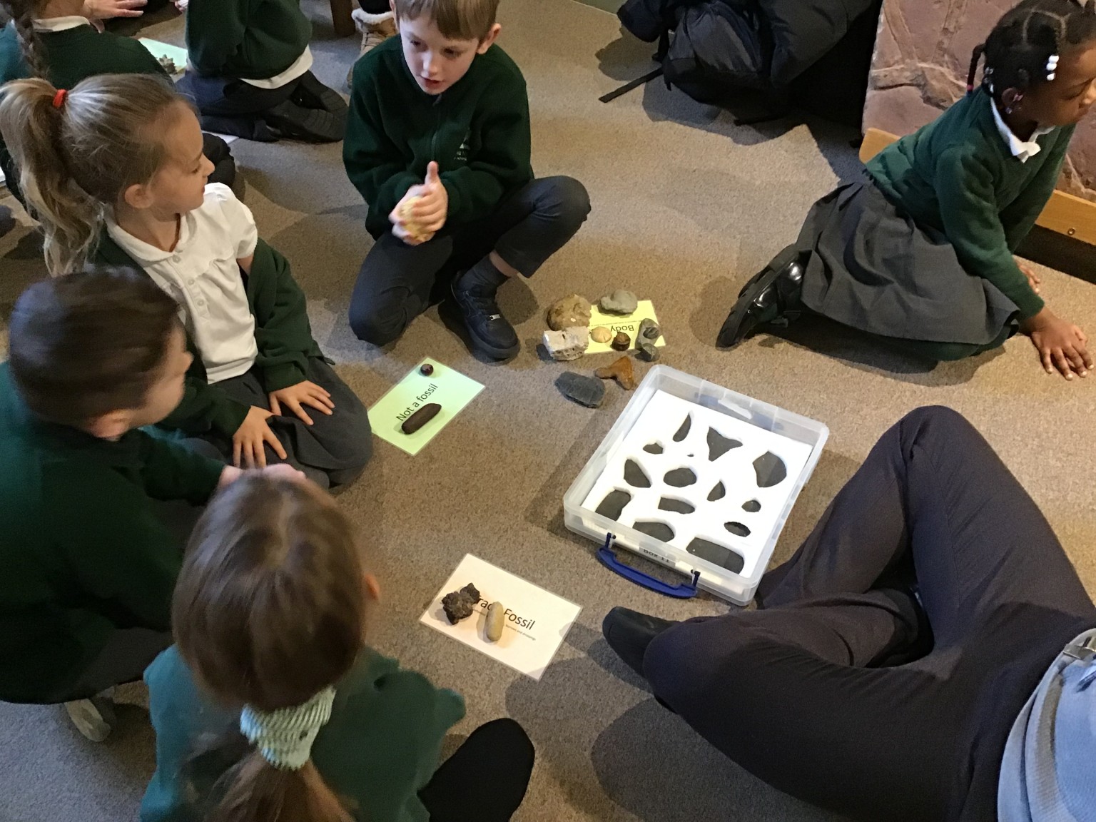 Sedgwick Museum Trip