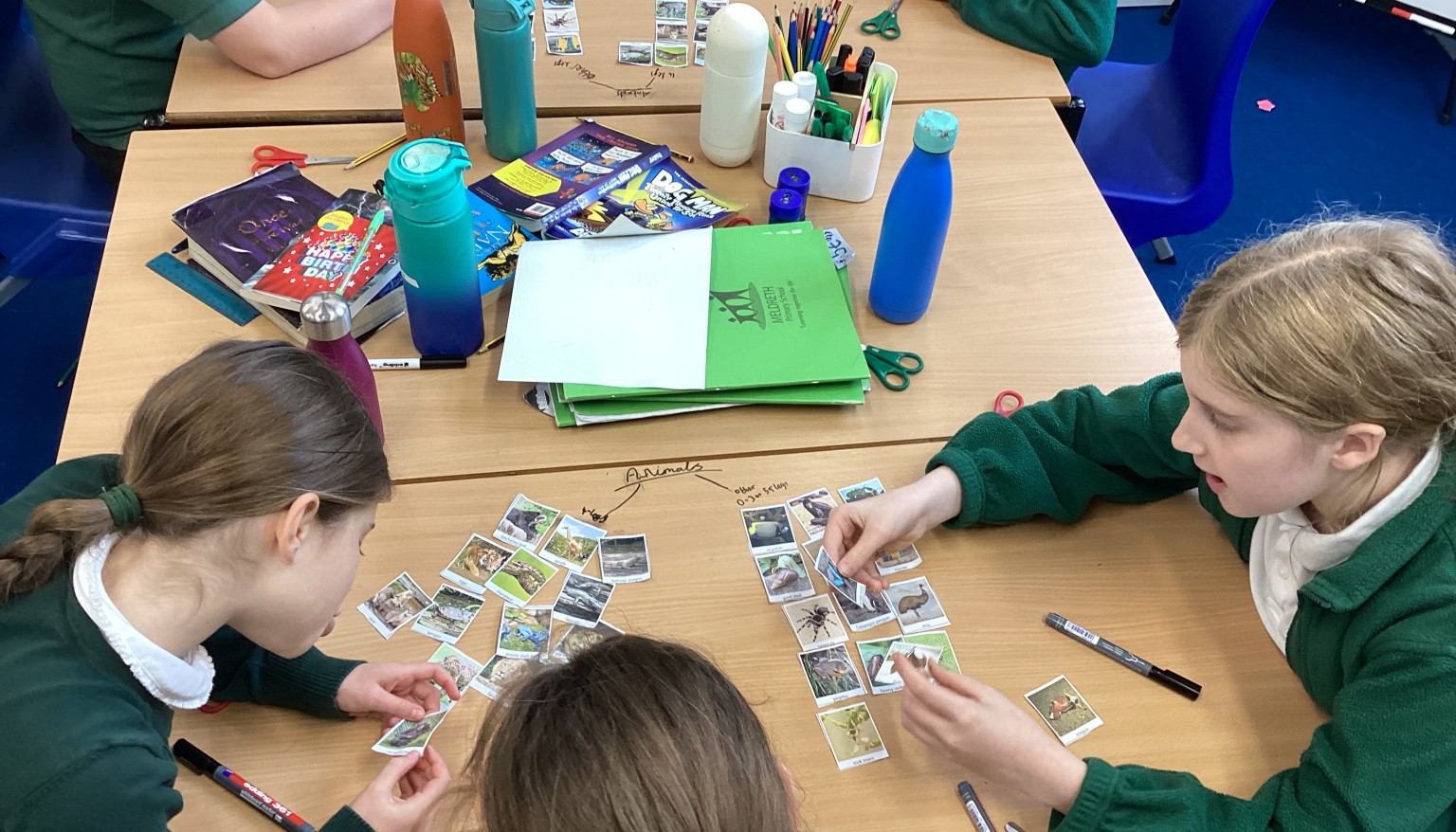 Living Things Unit - Classifying Animals