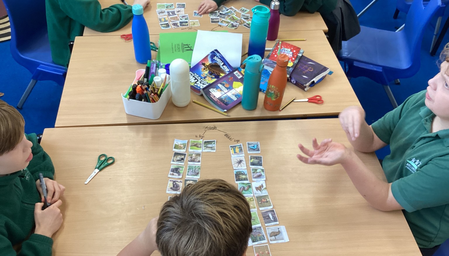 Living Things Unit - Classifying Animals