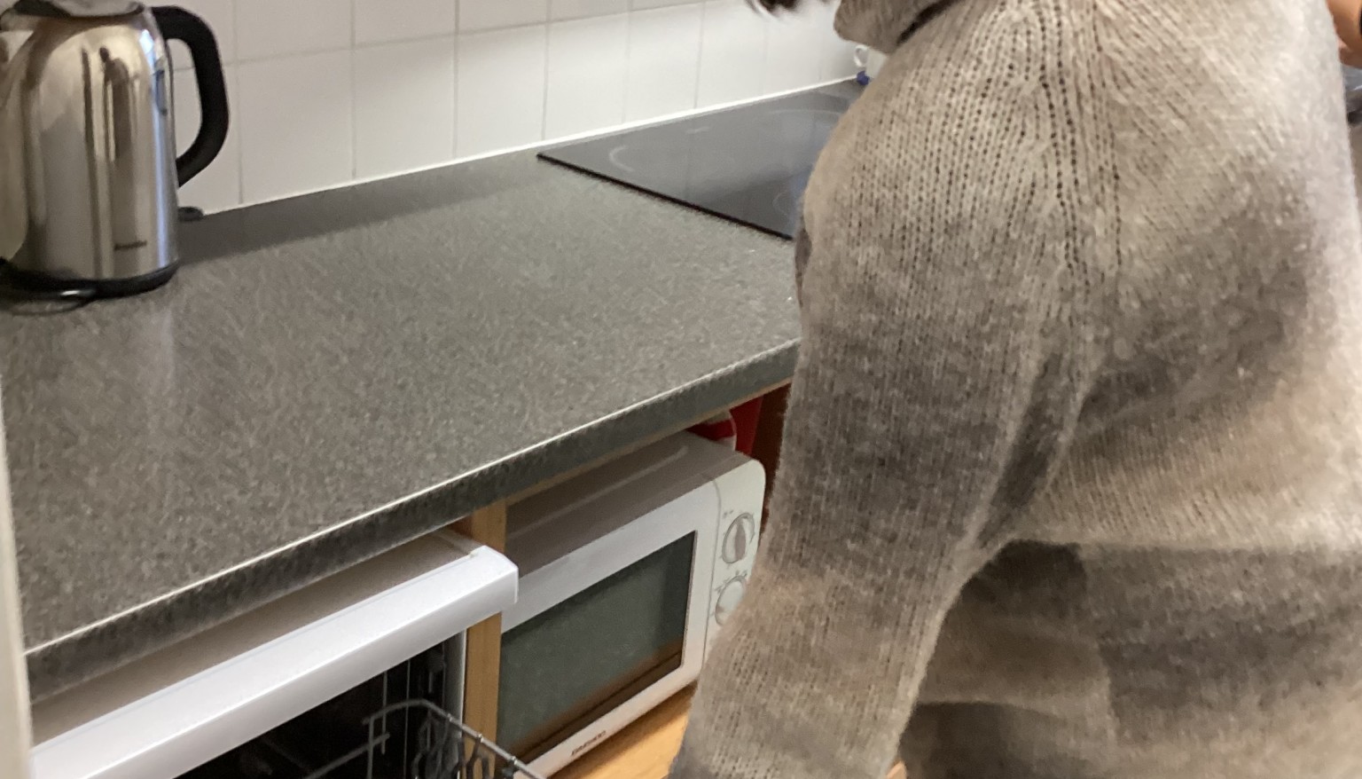 Loading the dishwasher