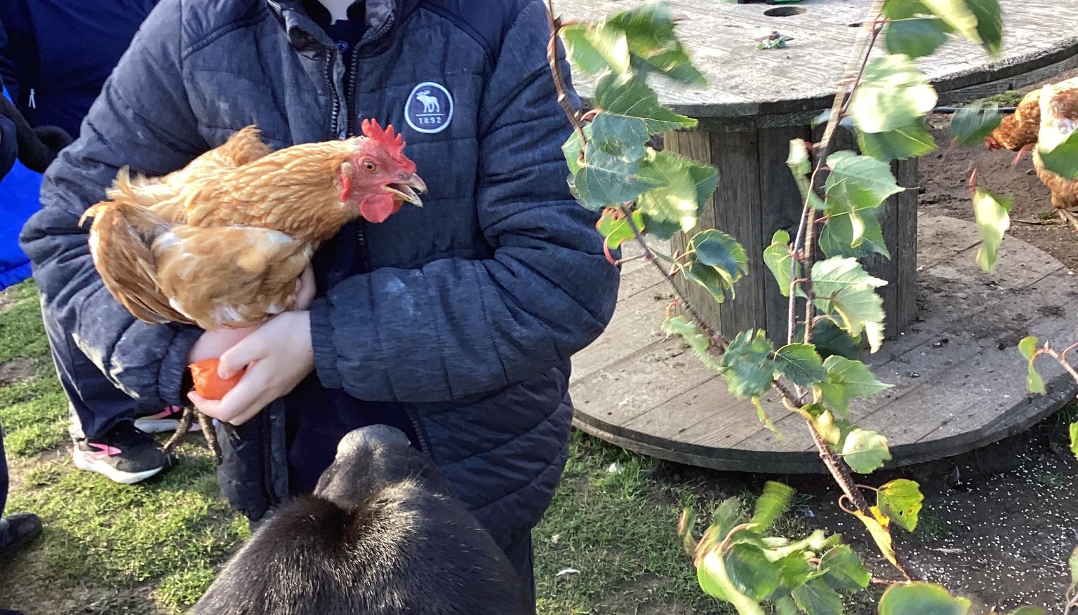 Donating food to feed the animals at the Hilltop Farm Sanctuary.