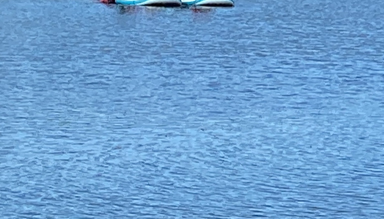 Participating in a variety of adventurous activities