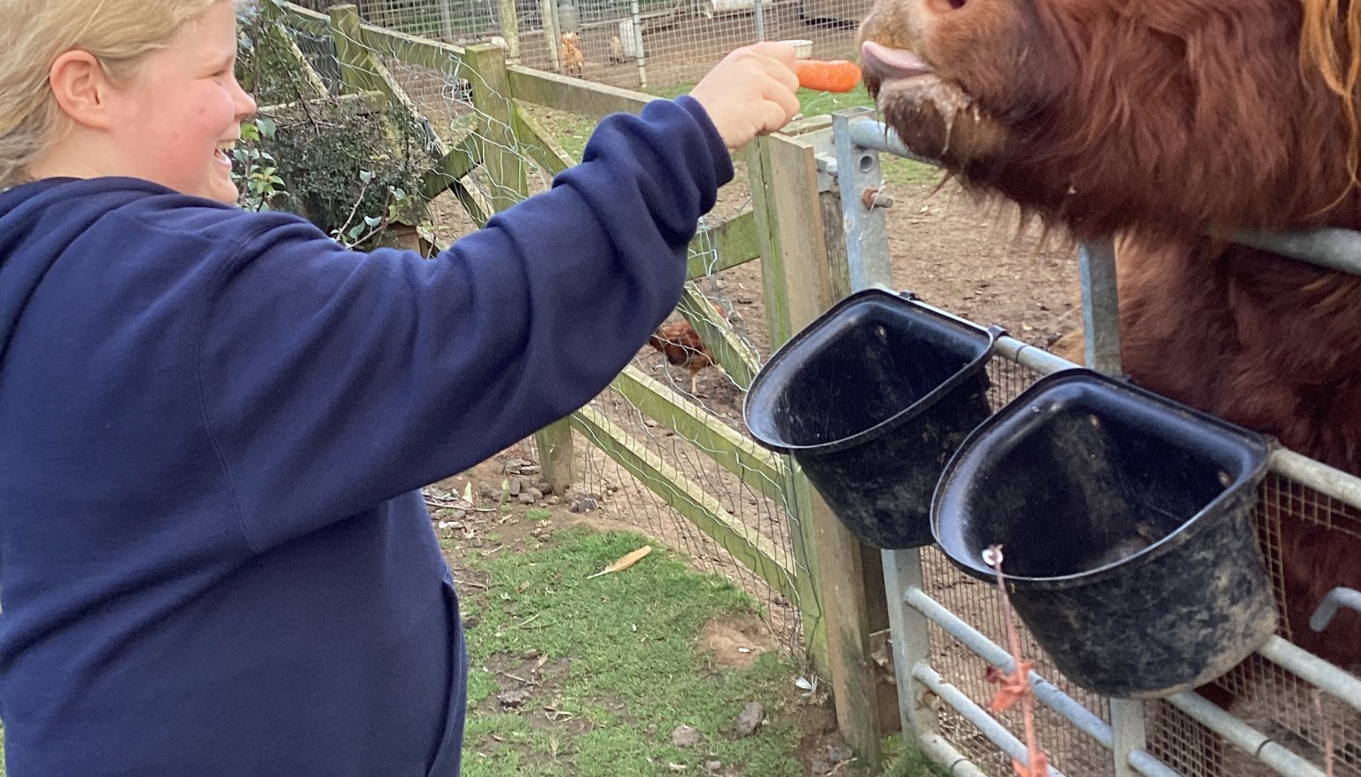 Donating food to feed the animals at the Hilltop Farm Sanctuary.