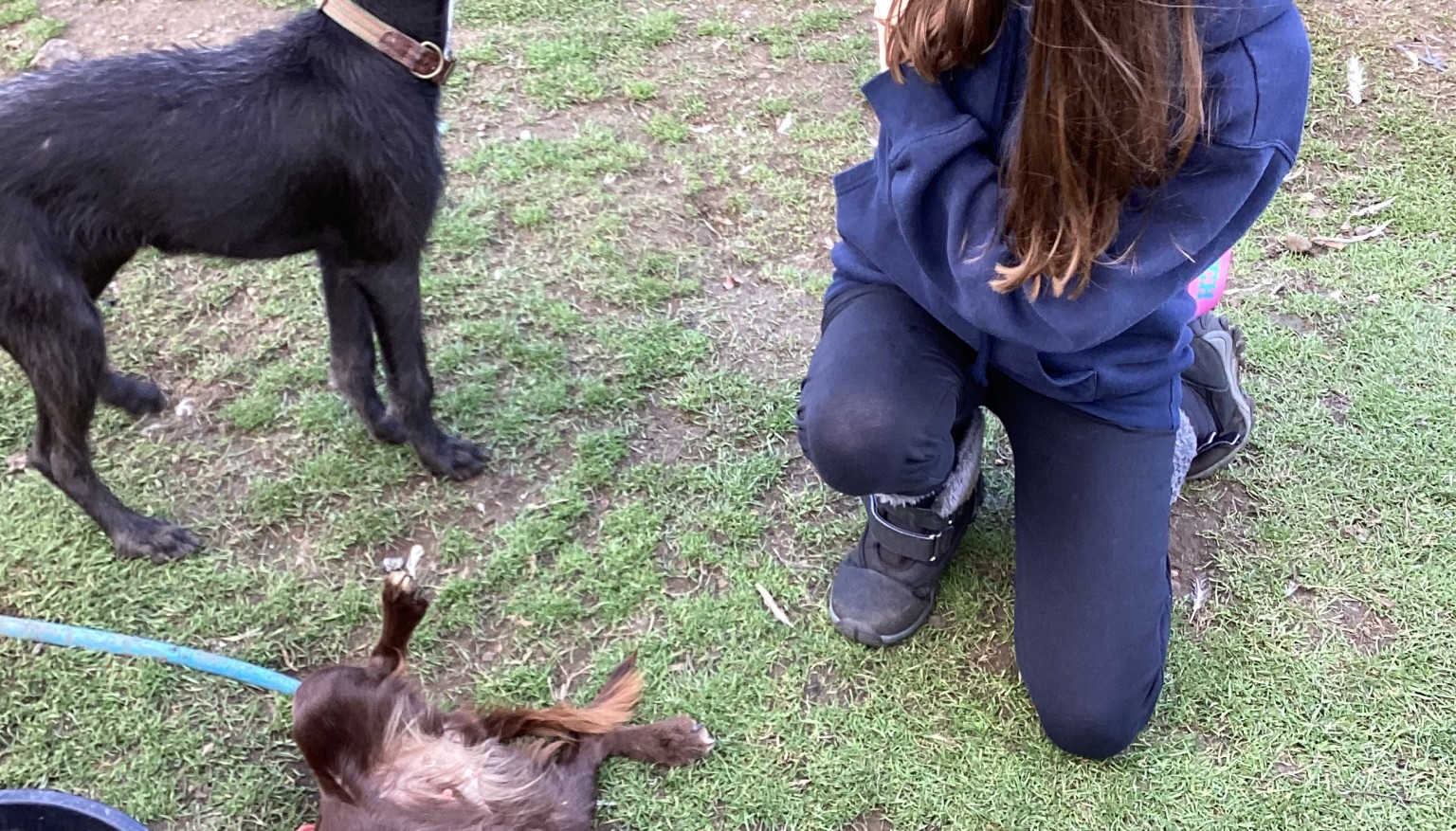 Donating food to feed the animals at the Hilltop Farm Sanctuary.