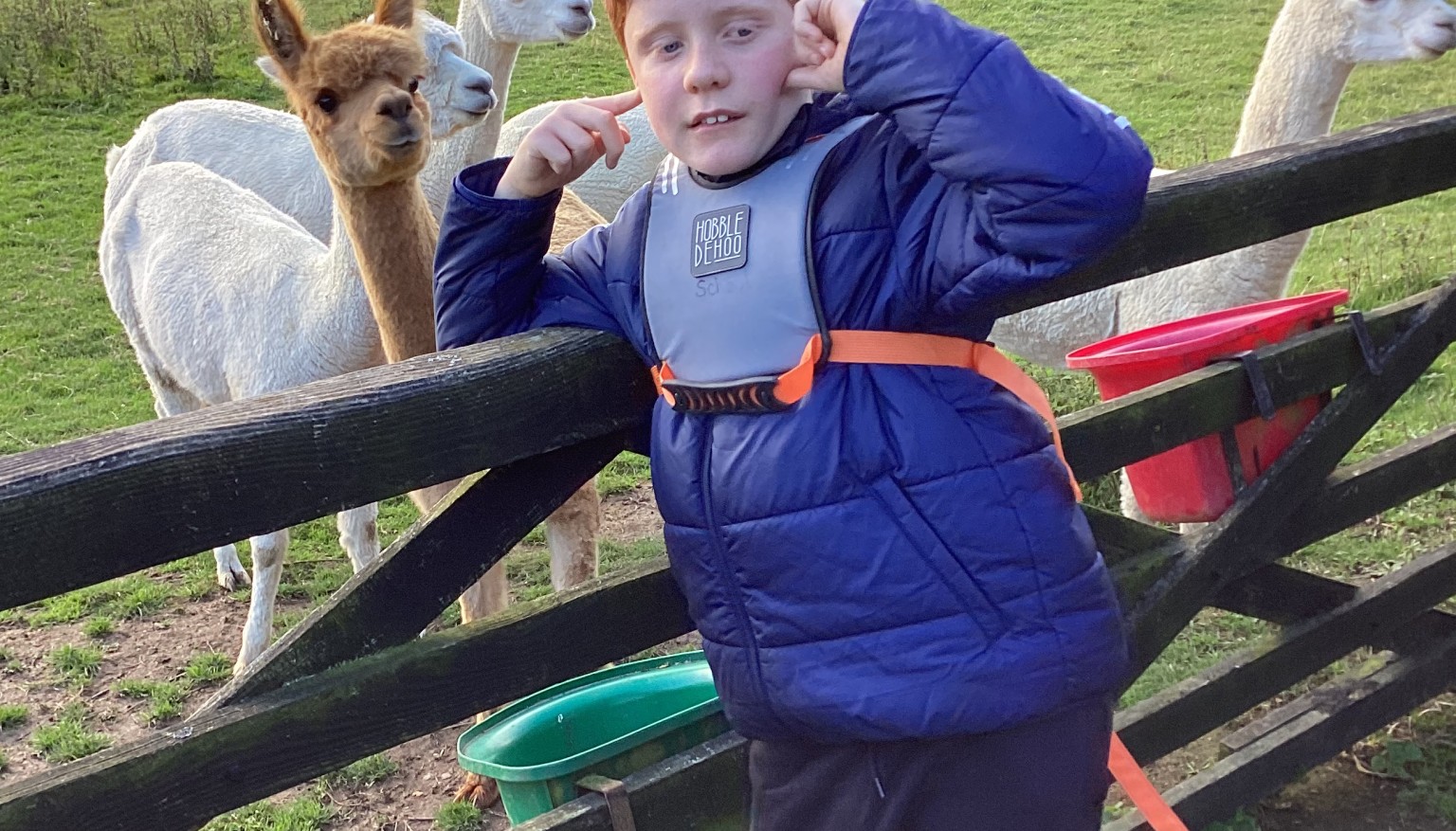 Donating food to feed the animals at the Hilltop Farm Sanctuary.