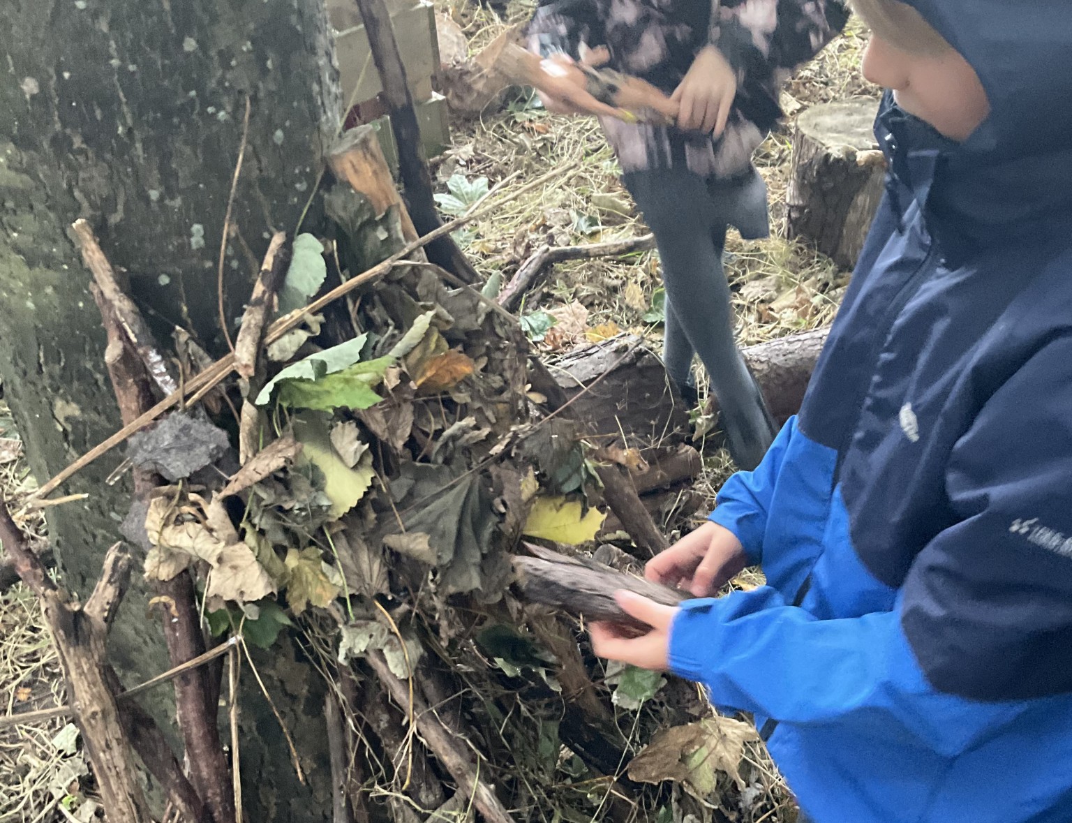 Outdoor Learning
