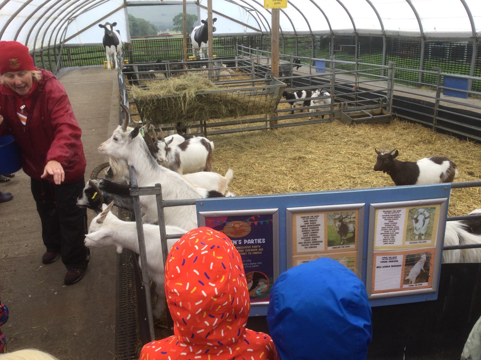 Farm Trip